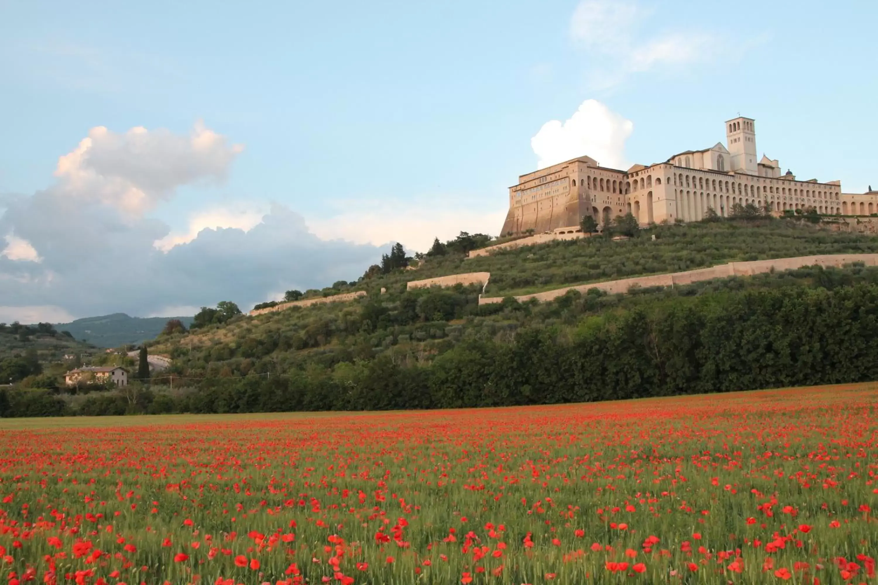 Nearby landmark, Property Building in La Piaggia