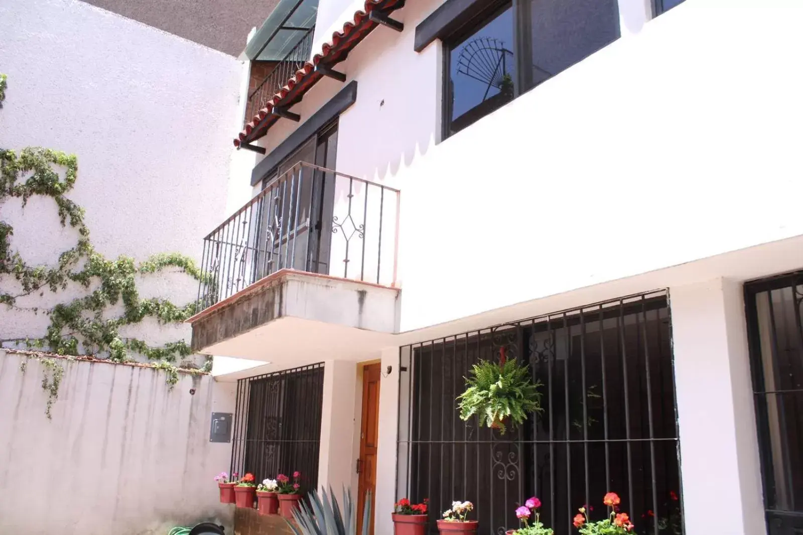 Property Building in Casa Luna Coyoacan