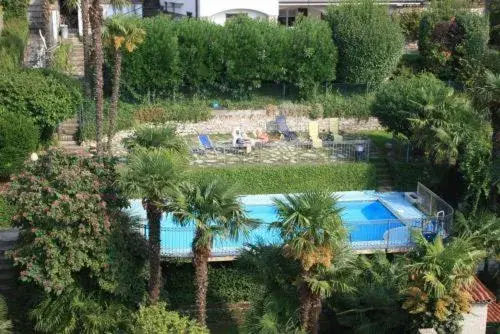 Garden, Pool View in Hotel Excelsior Splendide