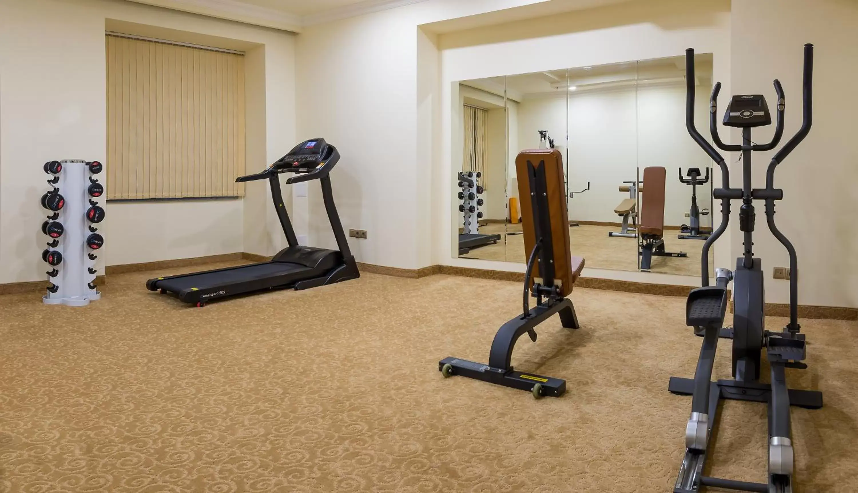 Fitness centre/facilities, Fitness Center/Facilities in Paris Hotel Yerevan