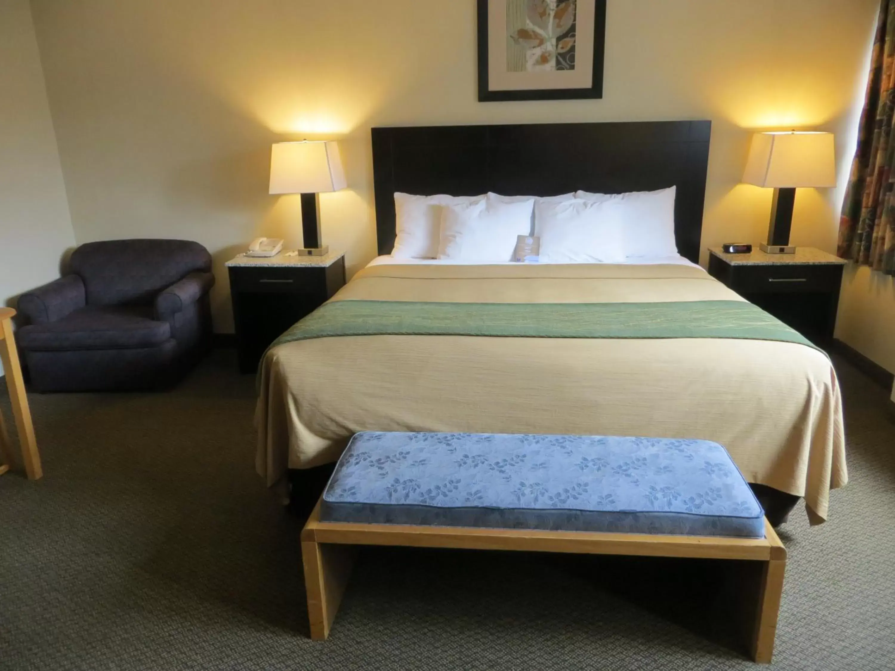 King Room - Non-Smoking in Comfort Inn & Suites Downtown Edmonton