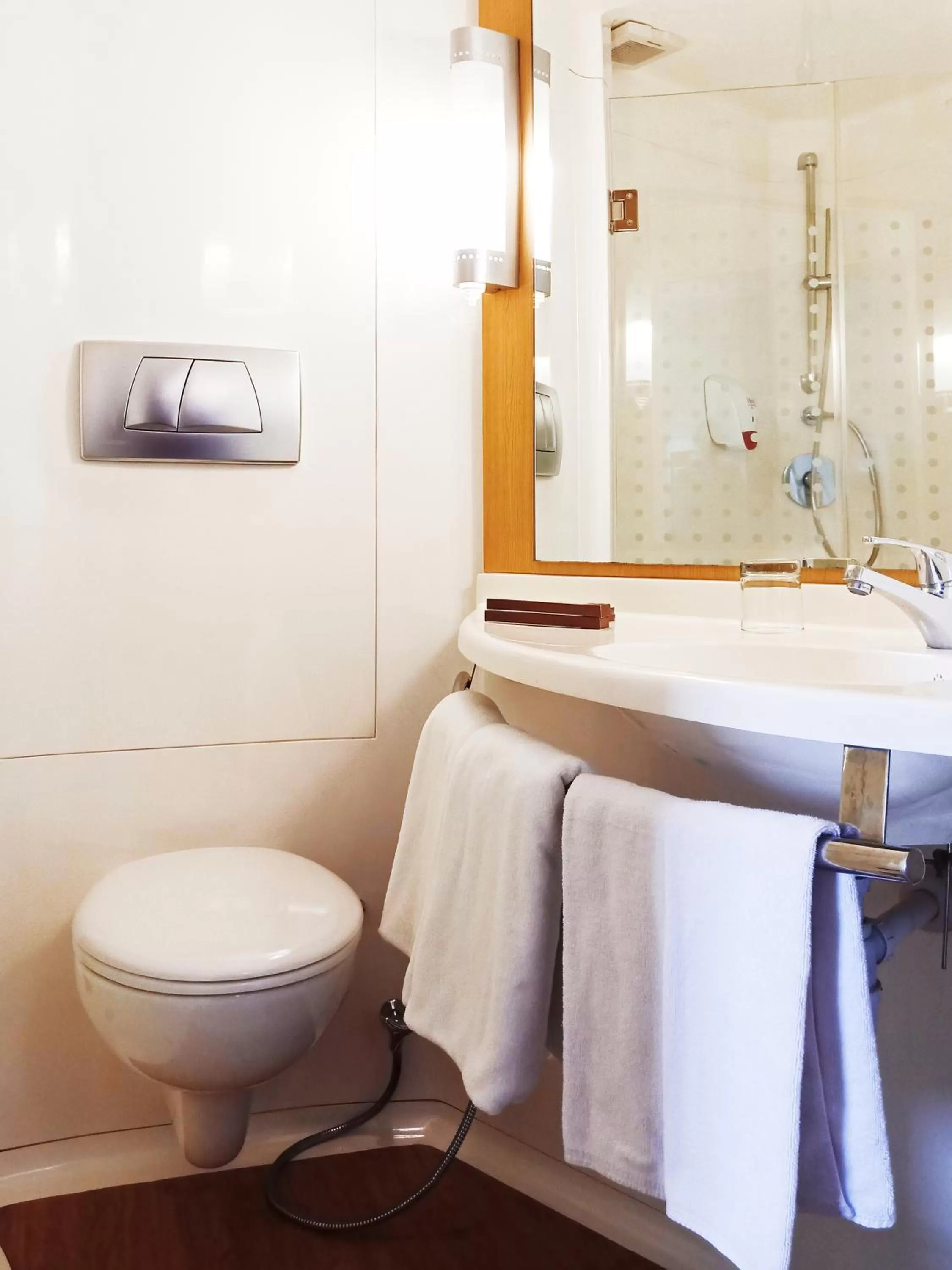 Toilet in Ibis Padang