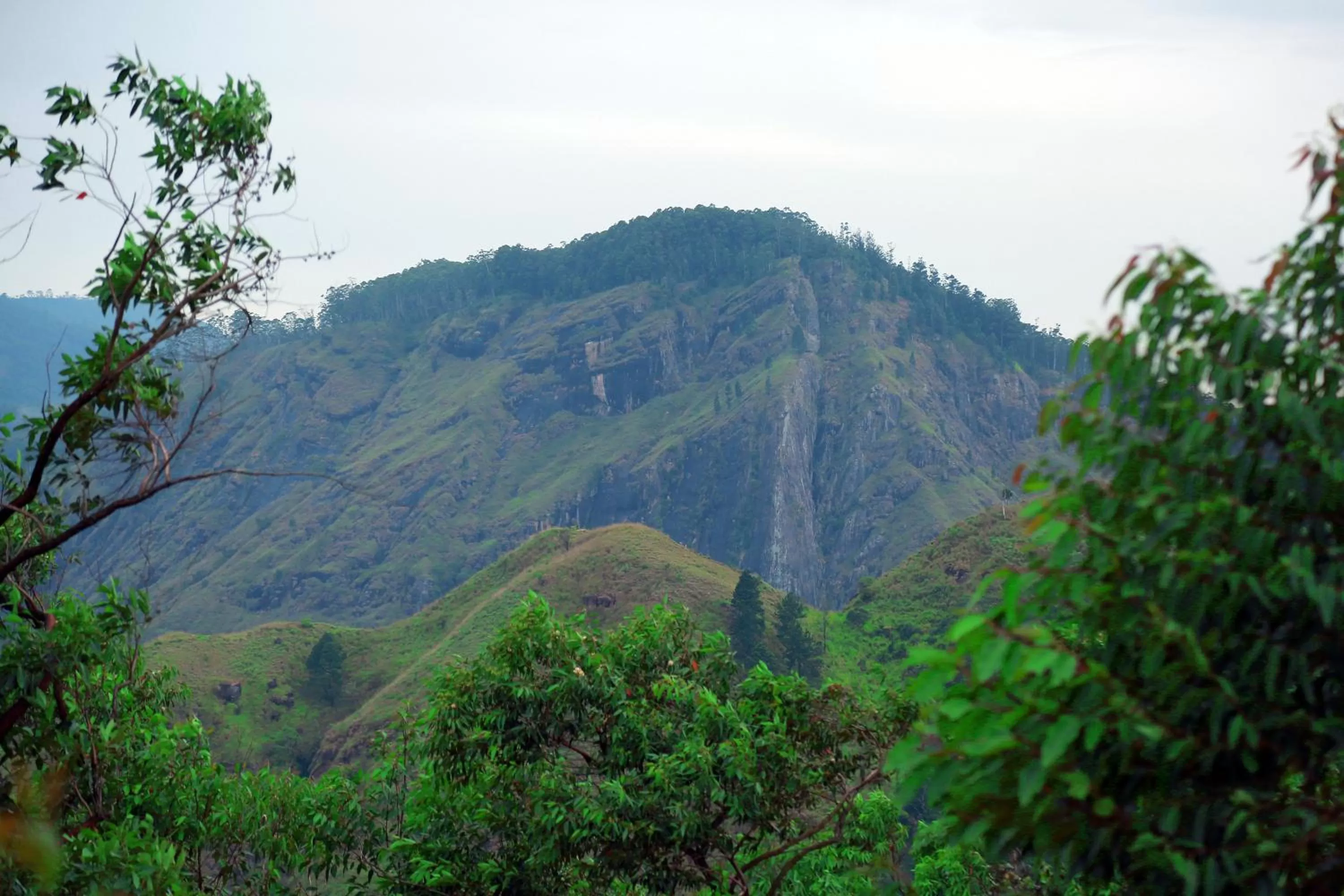 Mountain view in Box on clouds