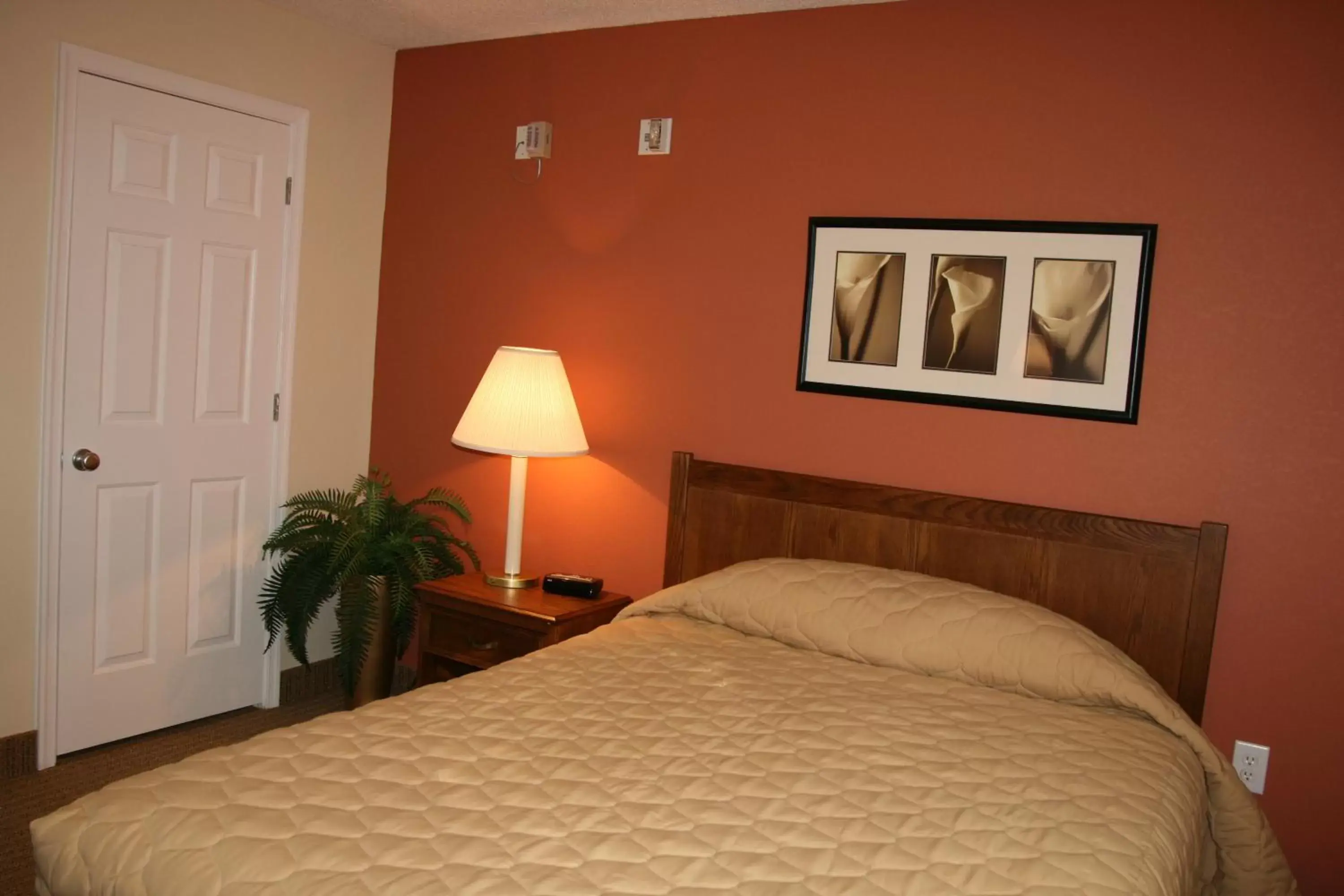 Bed in Affordable Suites of America Fredericksburg
