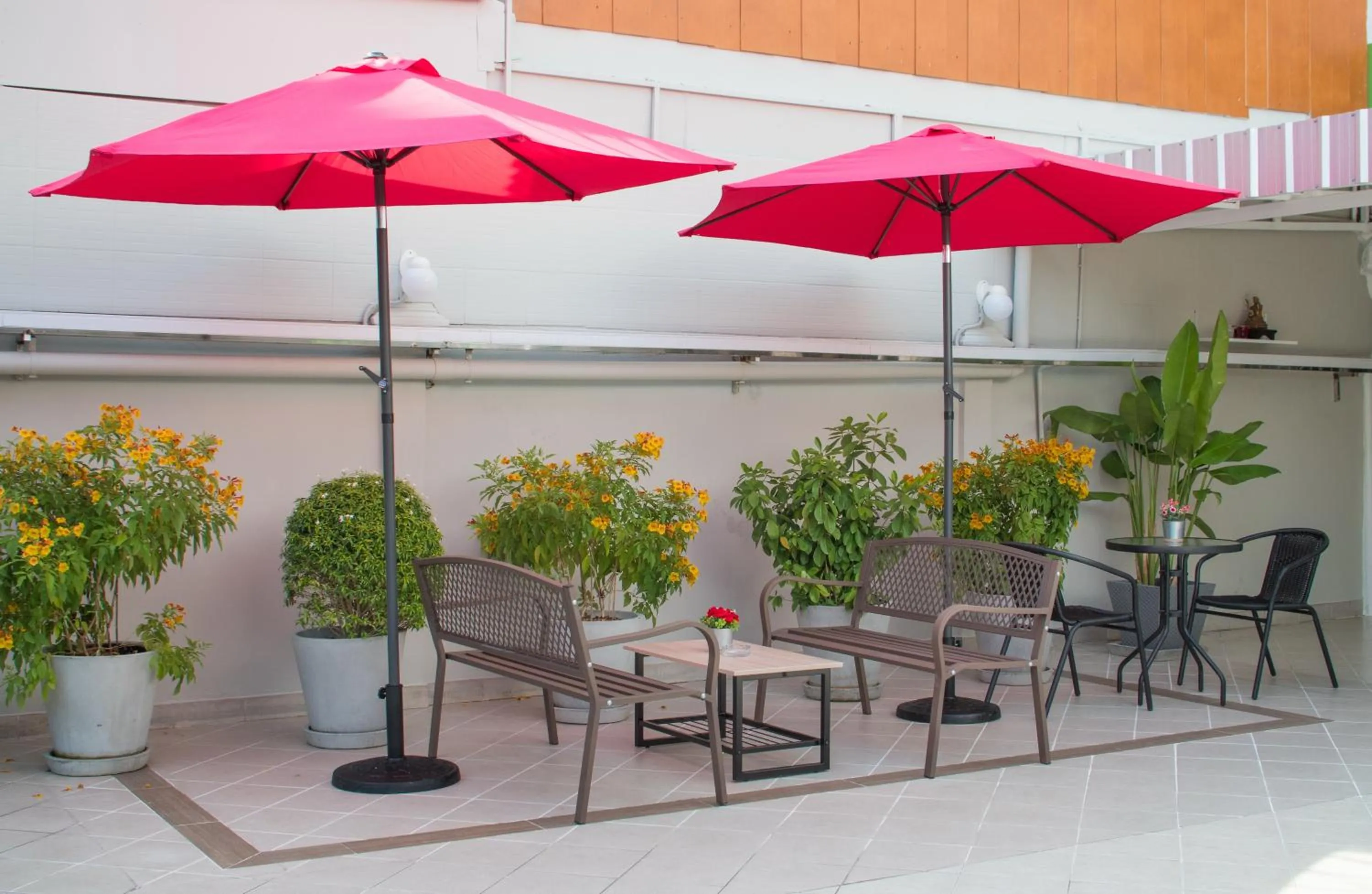 Garden in TJ Guesthouse