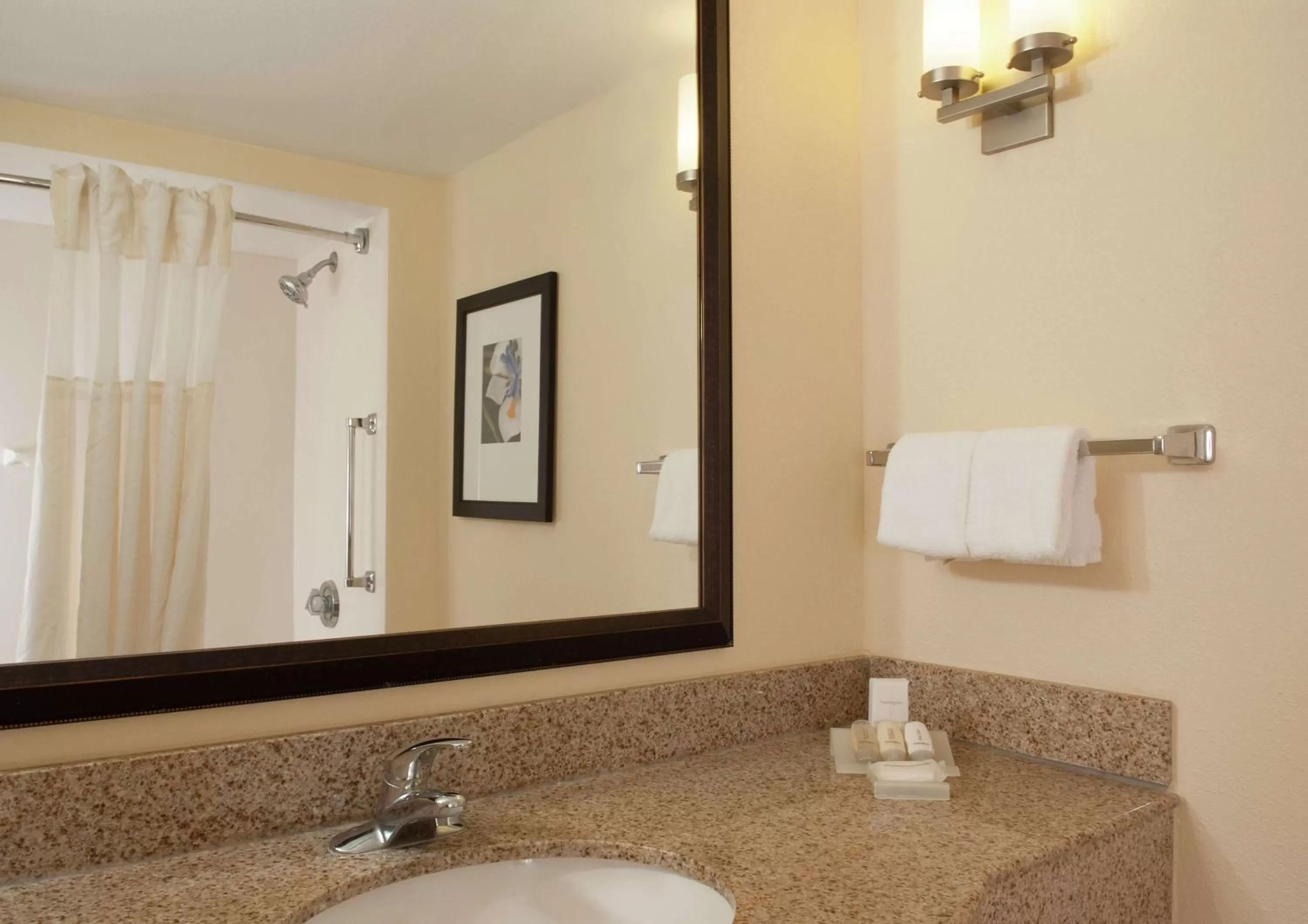 King Room with Tub - Mobility/Hearing Accessible in Hilton Garden Inn Orlando Airport