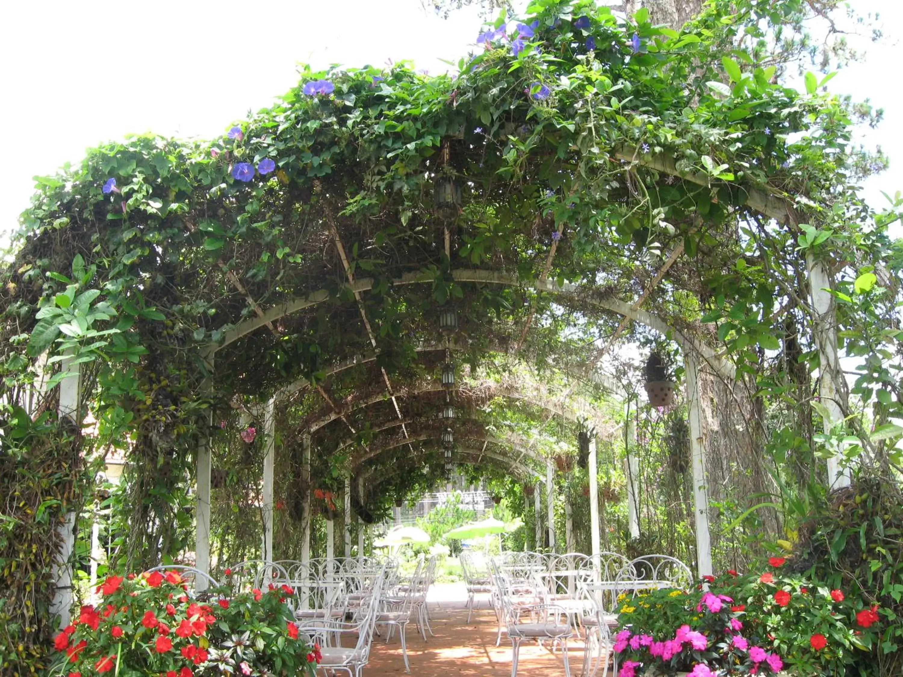 Restaurant/places to eat, Garden in Dalat Cadasa Resort