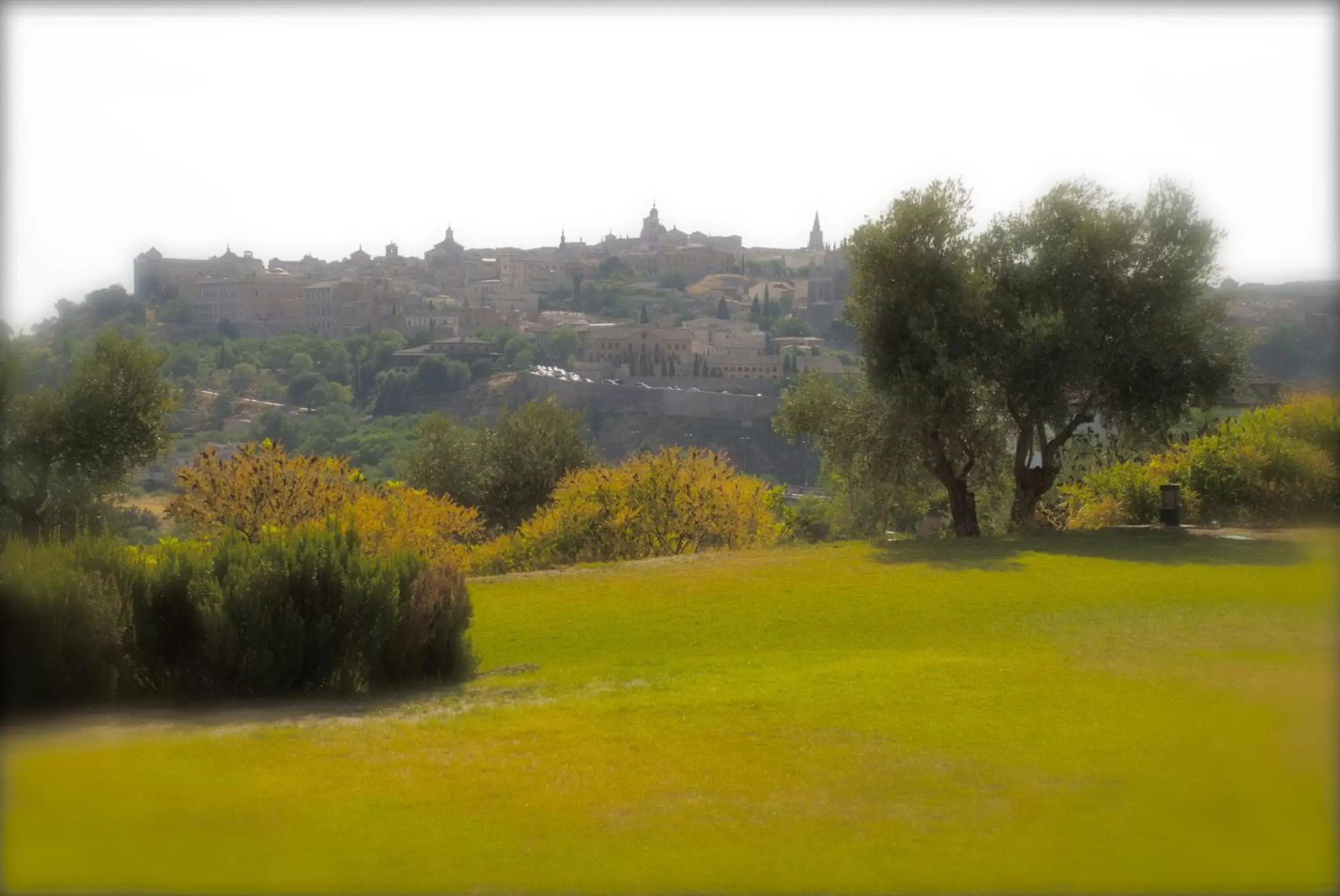 View (from property/room) in Hotel Cigarral el Bosque