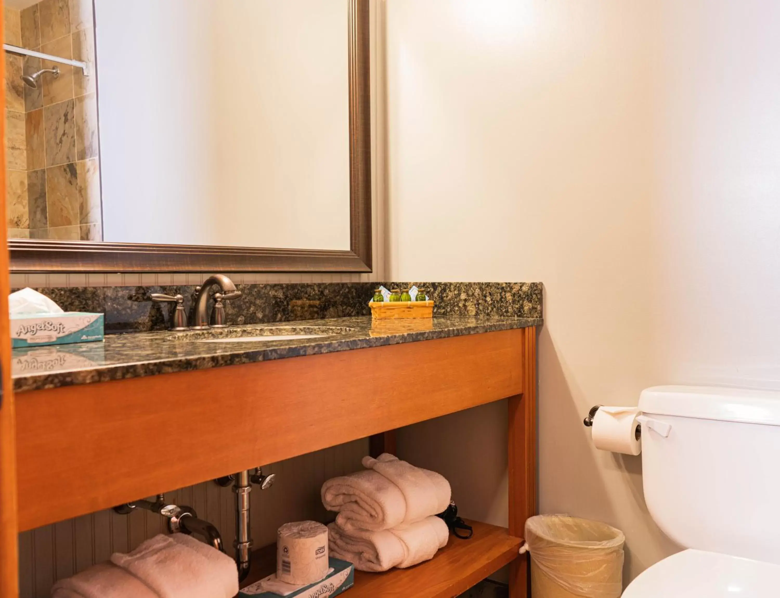 Bathroom in The Black Bear Lodge at Stratton Mountain Resort