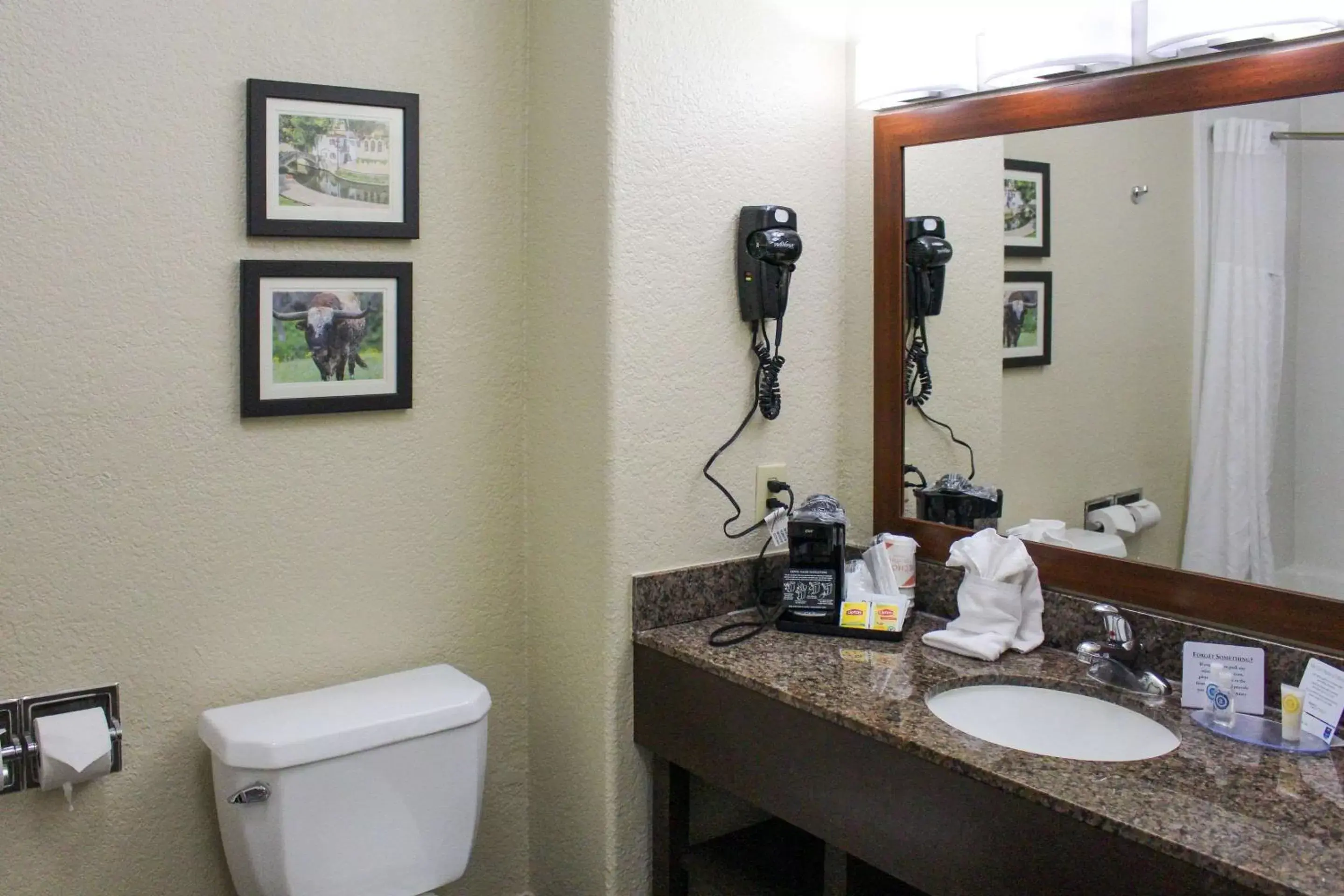 Bathroom in Comfort Inn & Suites Near Six Flags & Medical Center