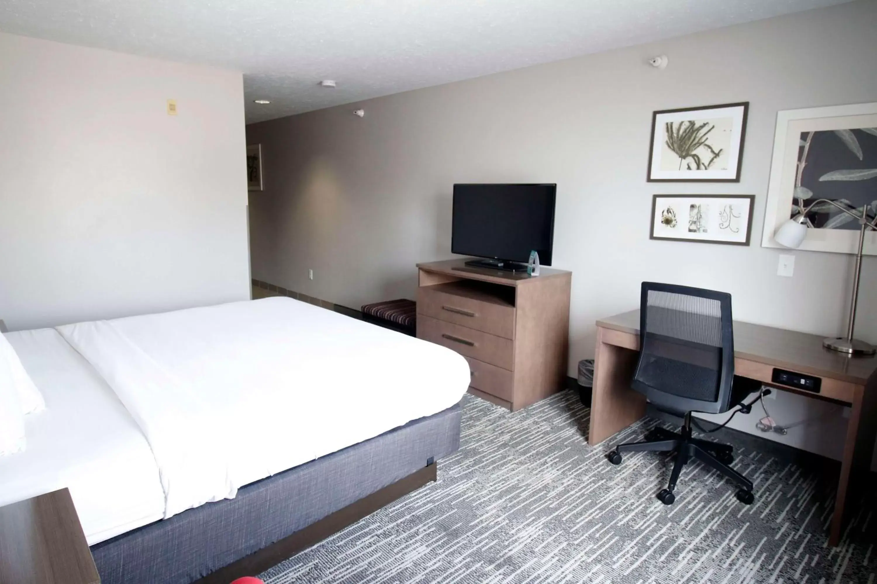 Bedroom, TV/Entertainment Center in Country Inn & Suites by Radisson, Council Bluffs, IA