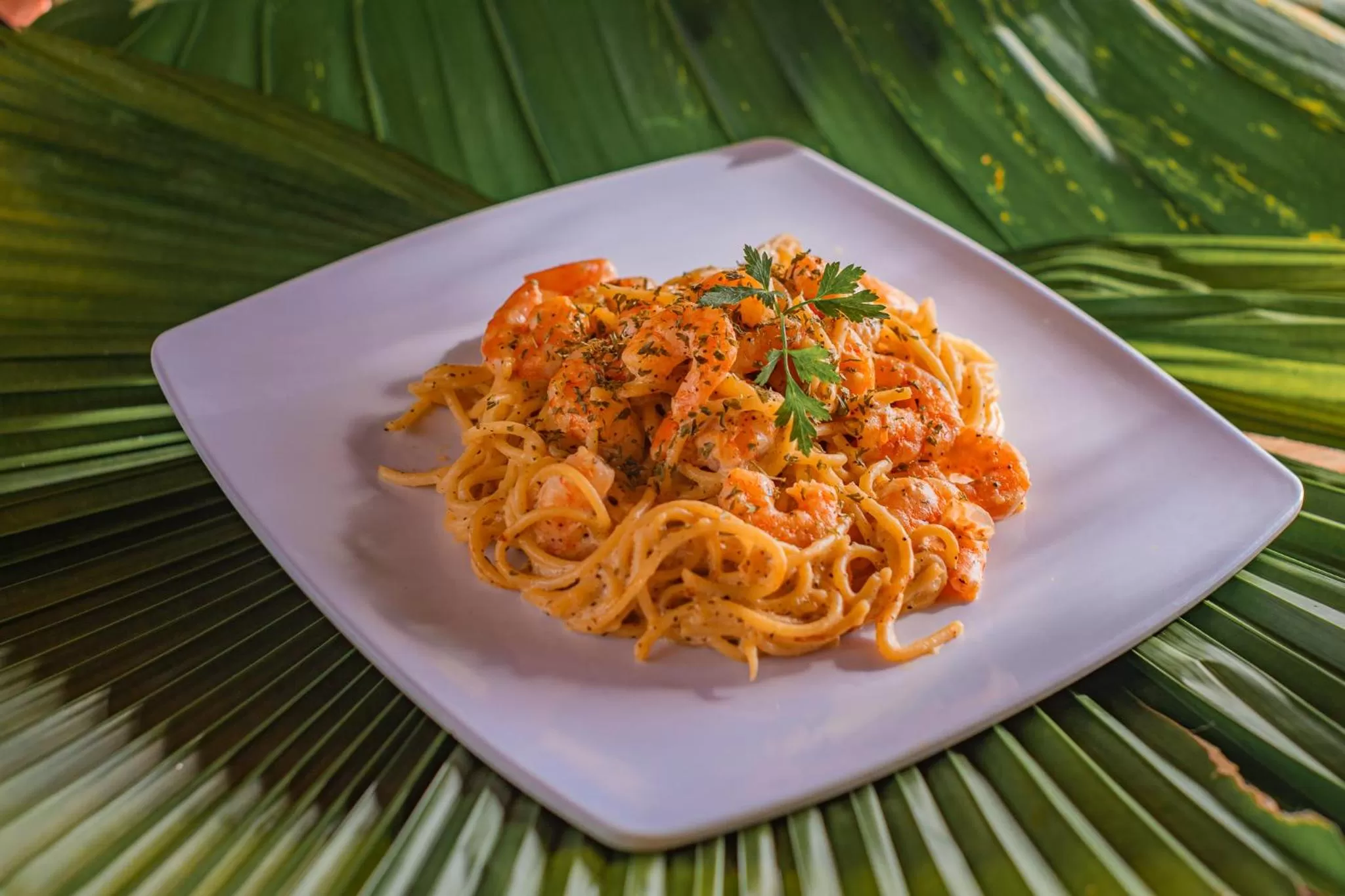 Food in Hotel Wayak Bacalar