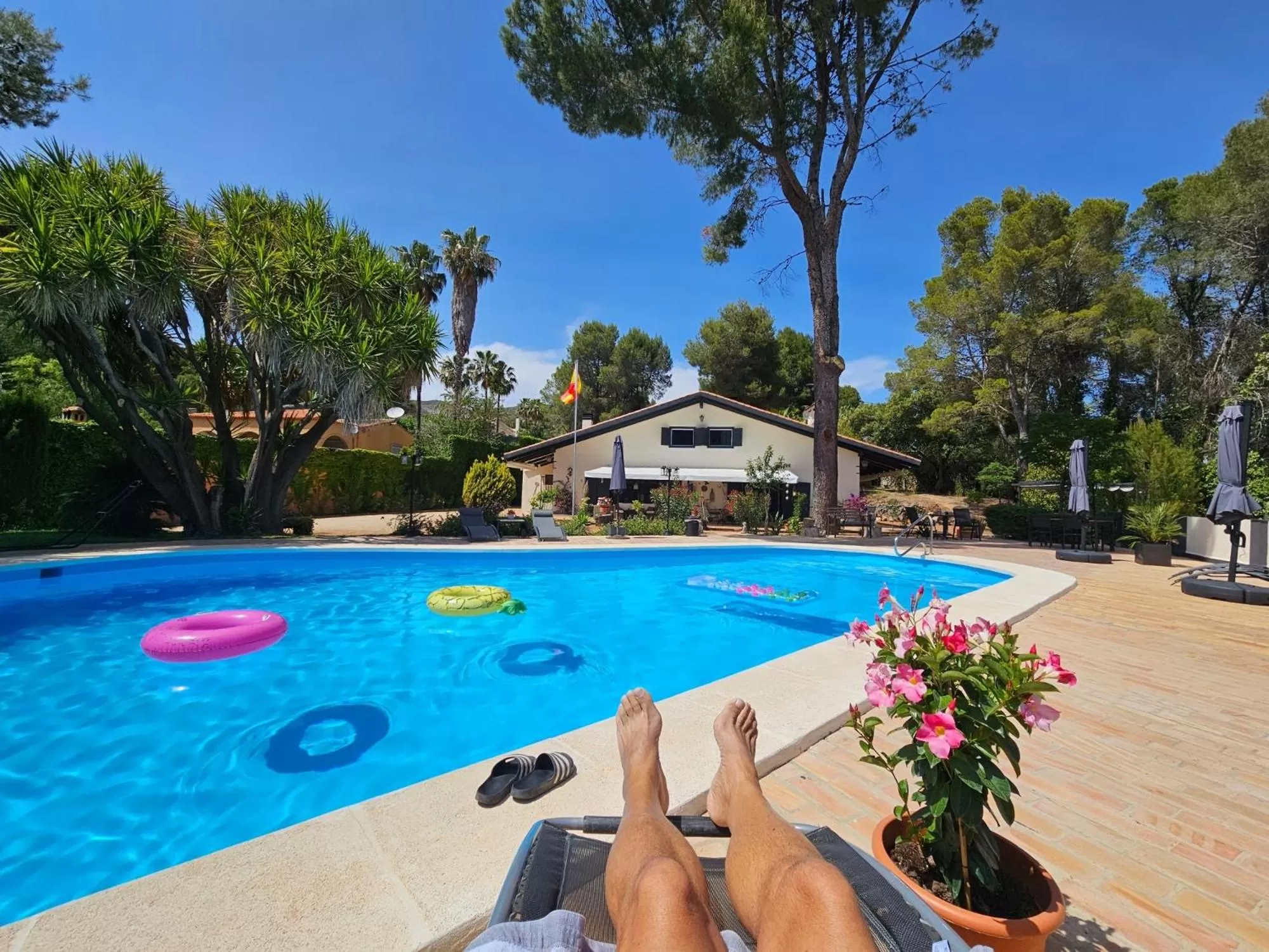 Swimming Pool in Finca la Yuca
