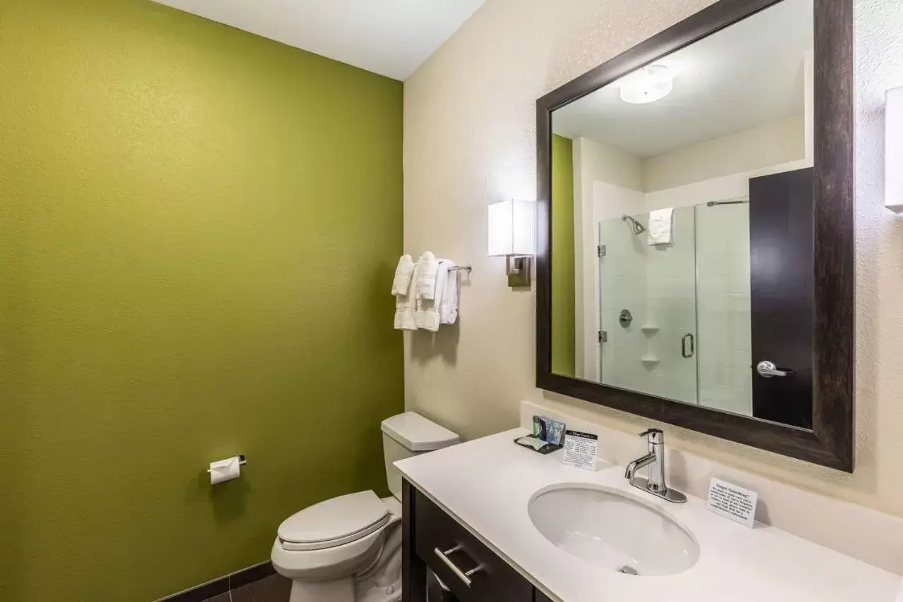 Bathroom in Sleep Inn Dallas Love Field-Medical District