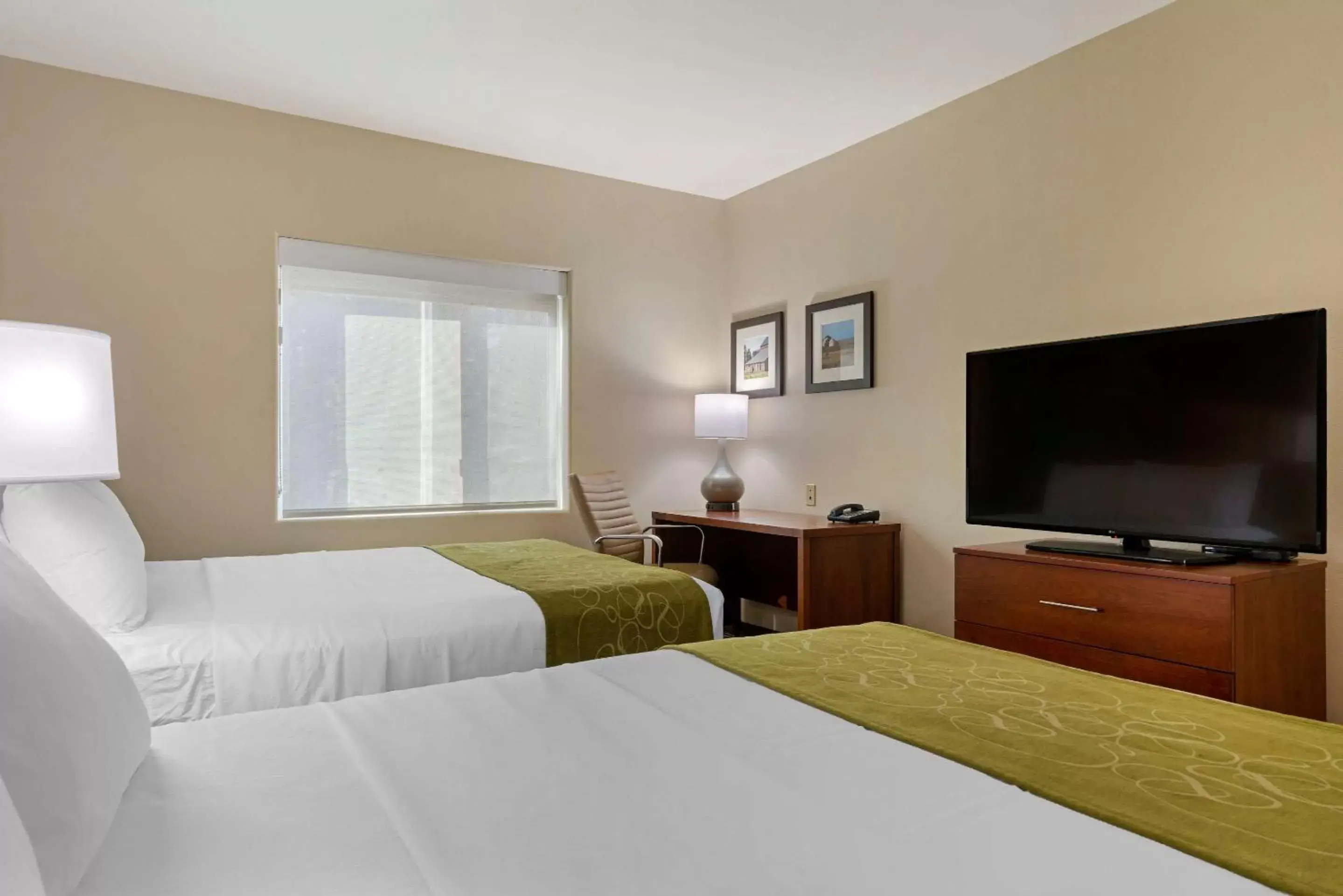 Photo of the whole room, Bed in Comfort Suites Marysville-Yuba City