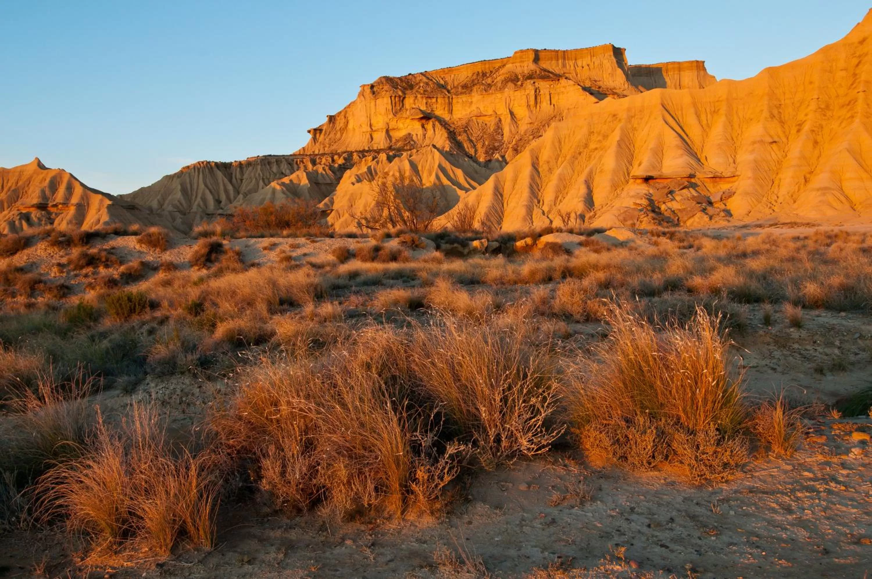 Natural landscape in Hotel Aire de Bardenas