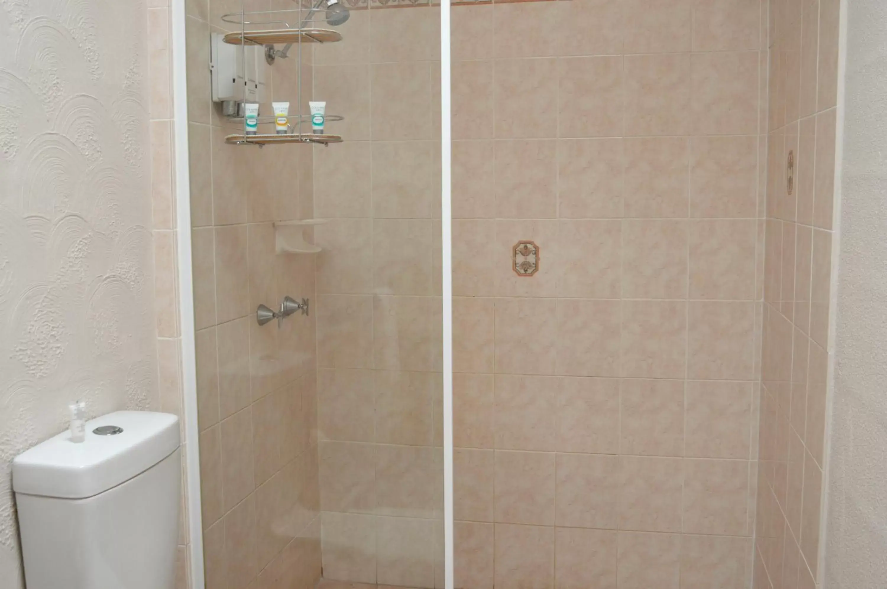 Shower, Bathroom in Mid City Motor Inn