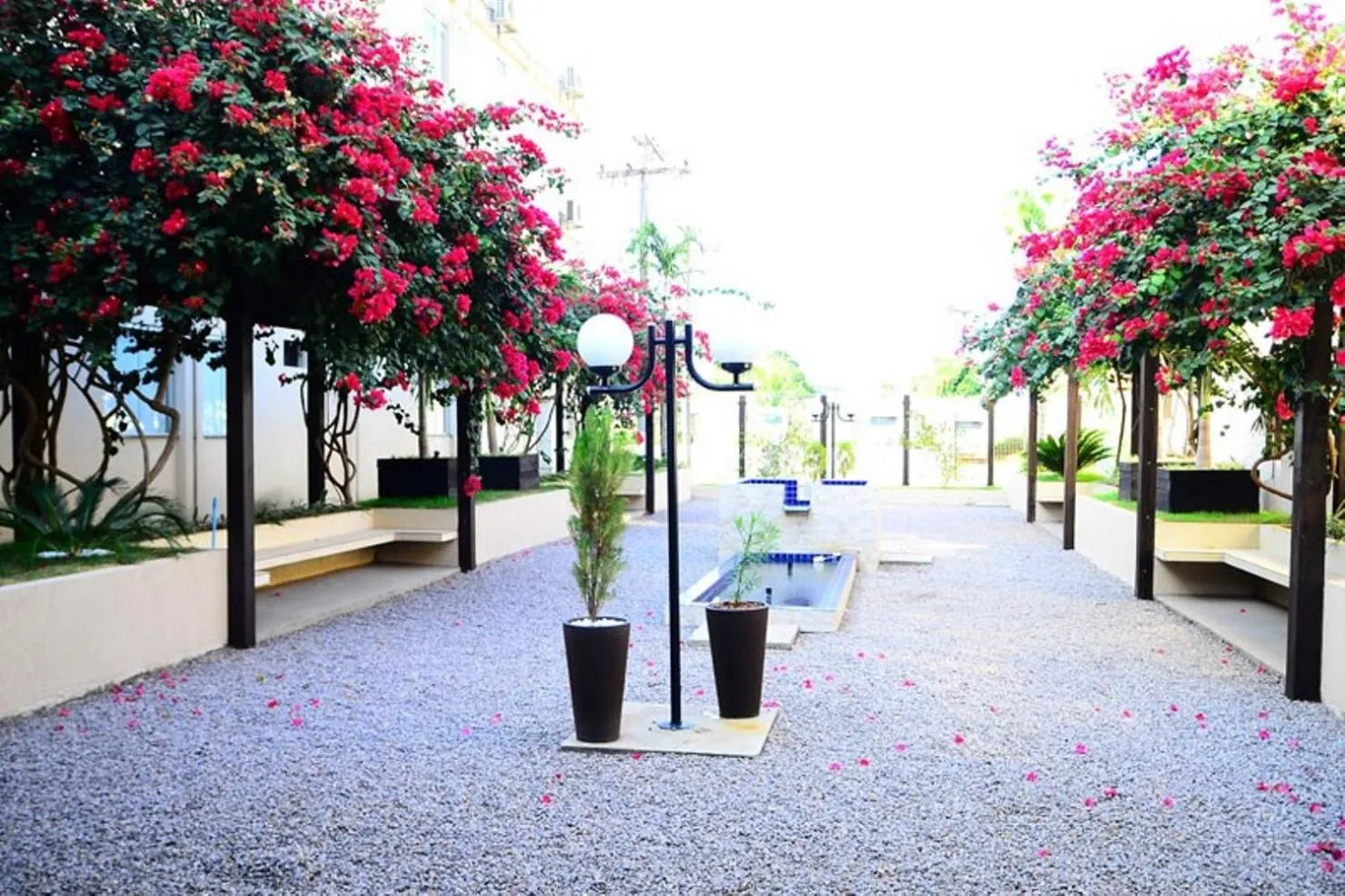 Garden in Hotel Do Forte