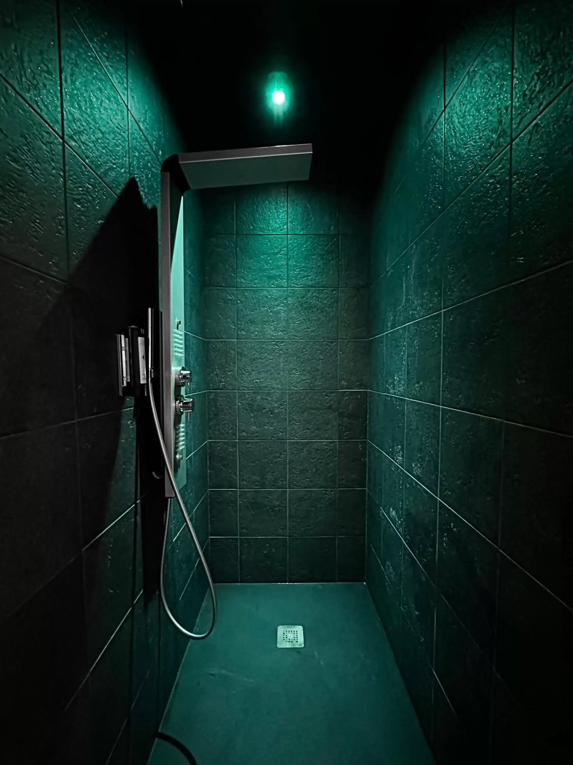 Shower, Bathroom in HOTEL & SPA Le Renard Centre