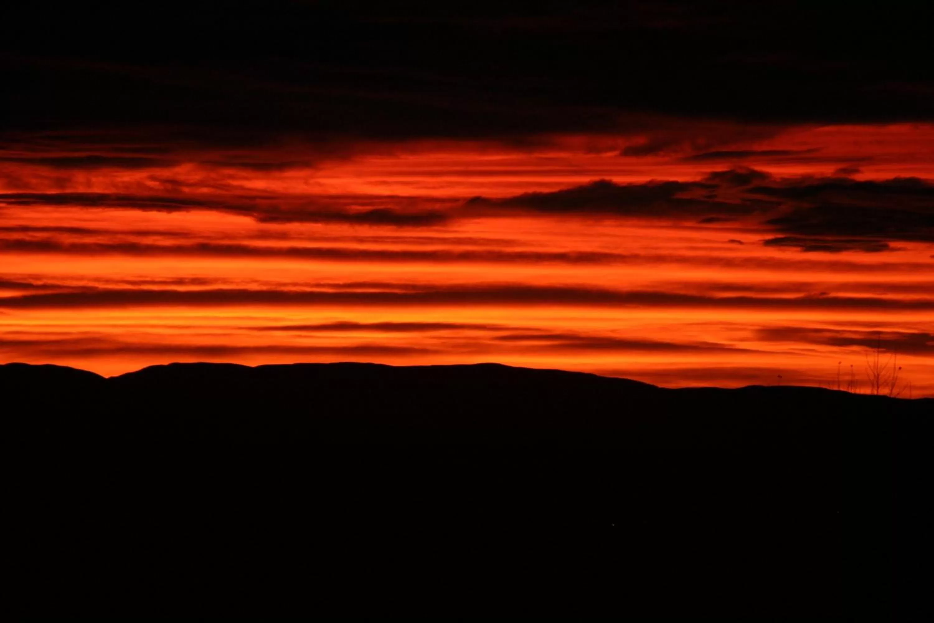 View (from property/room) in Hokonui Bed & Breakfast