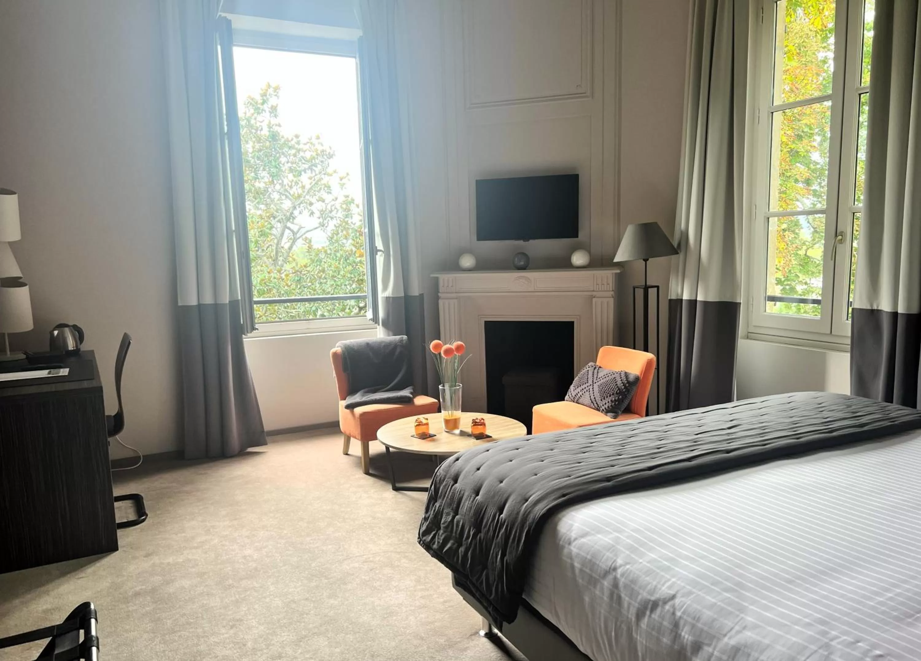 Photo of the whole room, Bed in Hôtel Château de Lacan