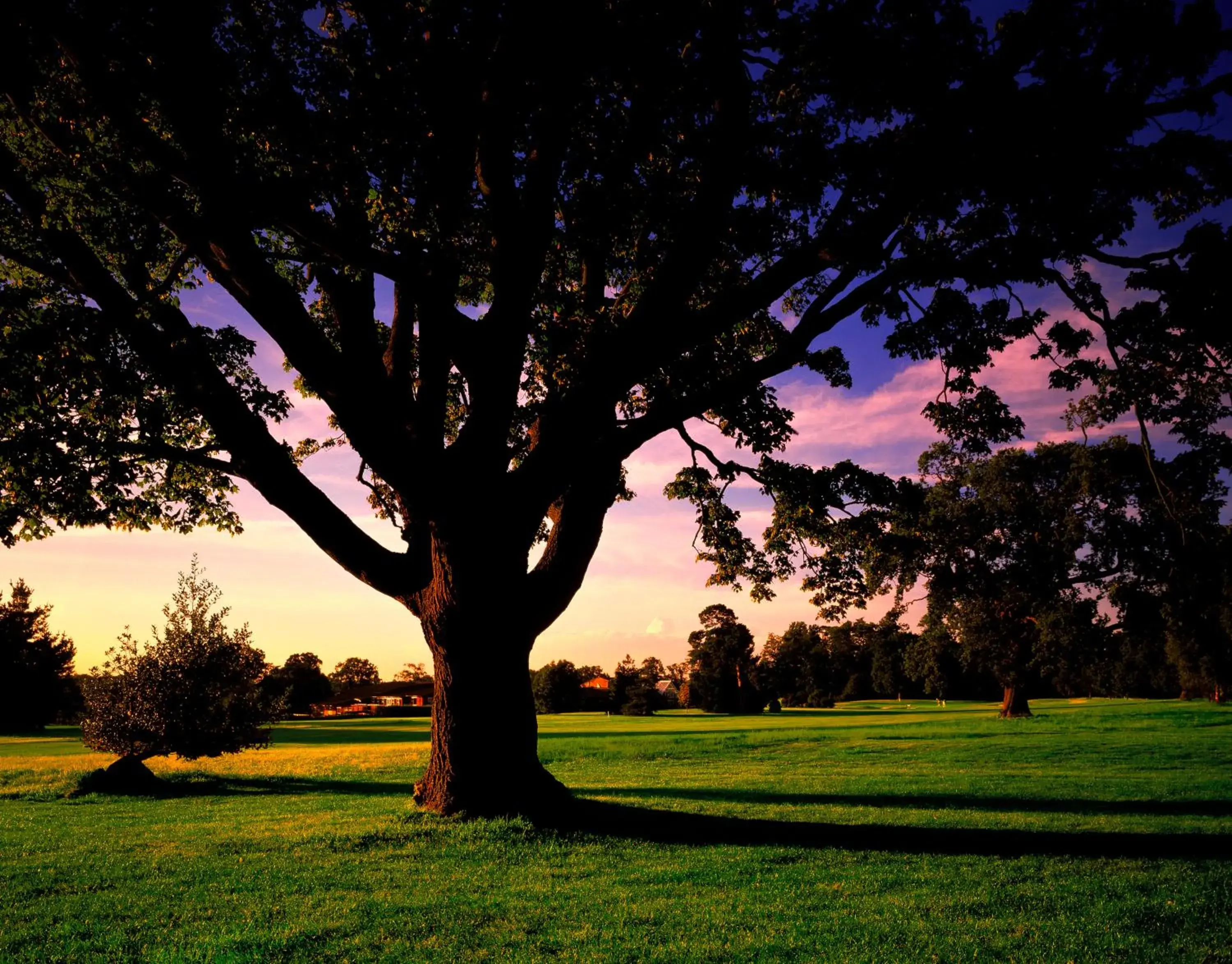 Golfcourse in Meon Valley Hotel, Golf & Country Club