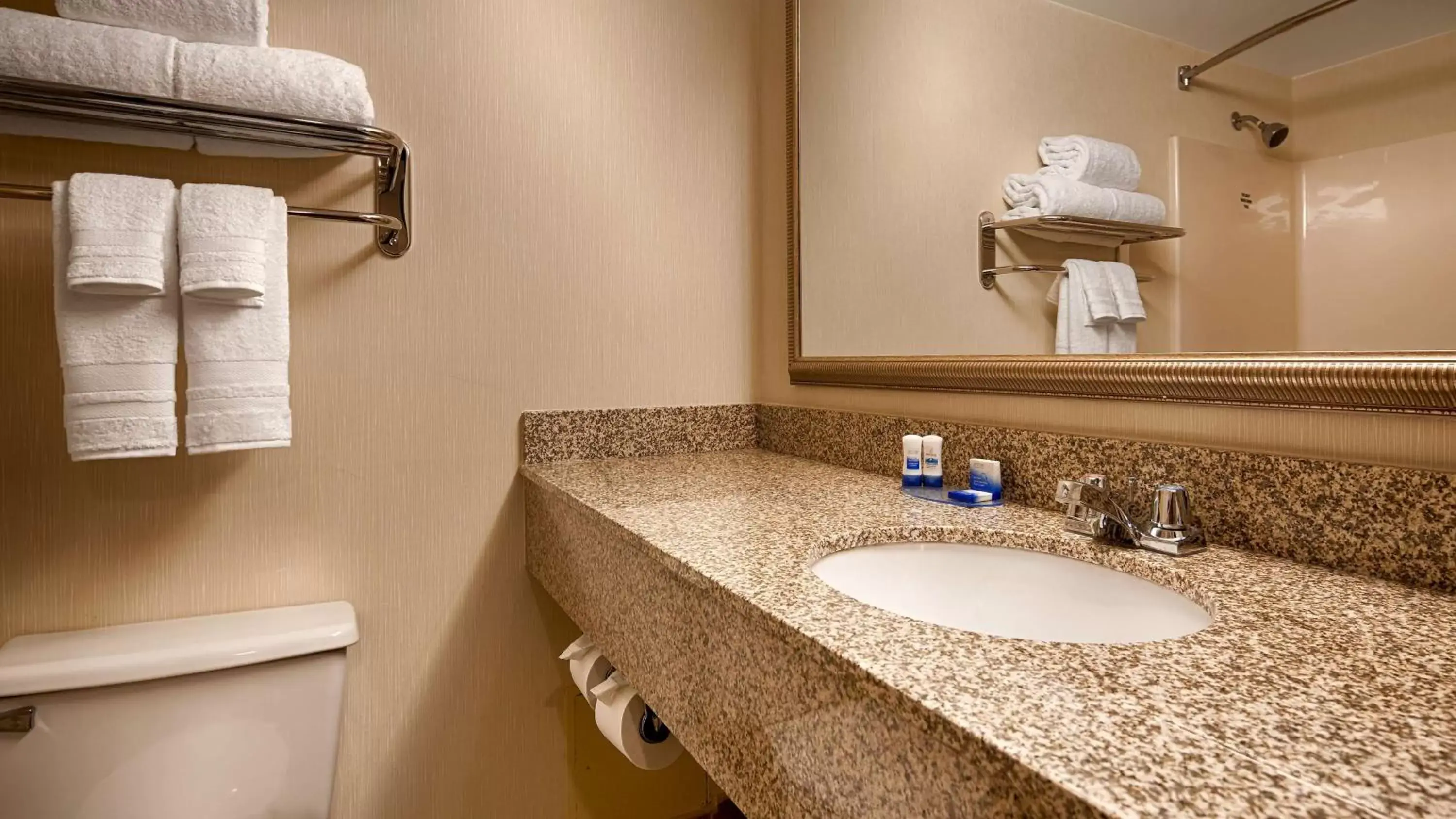 Bathroom in Best Western Royal Plaza Hotel and Trade Center