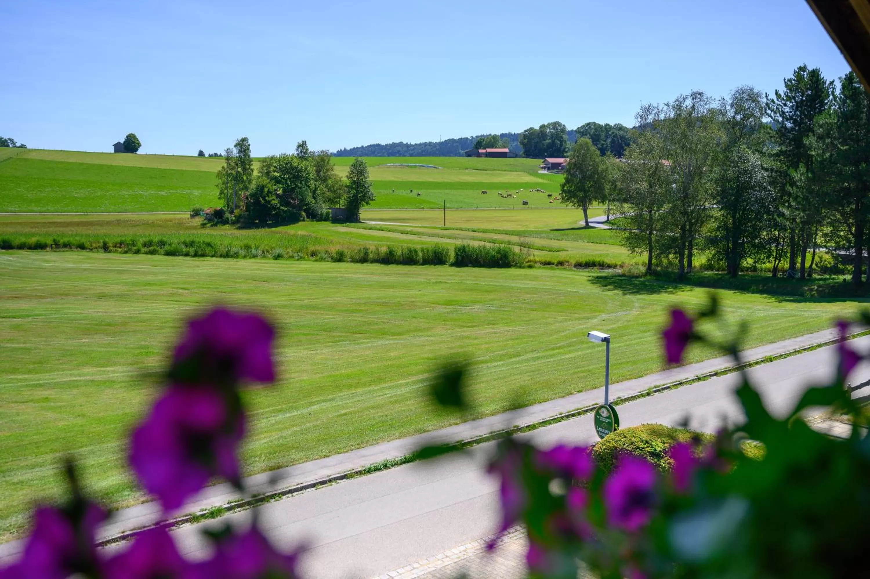 View (from property/room) in Landhaus Grobert