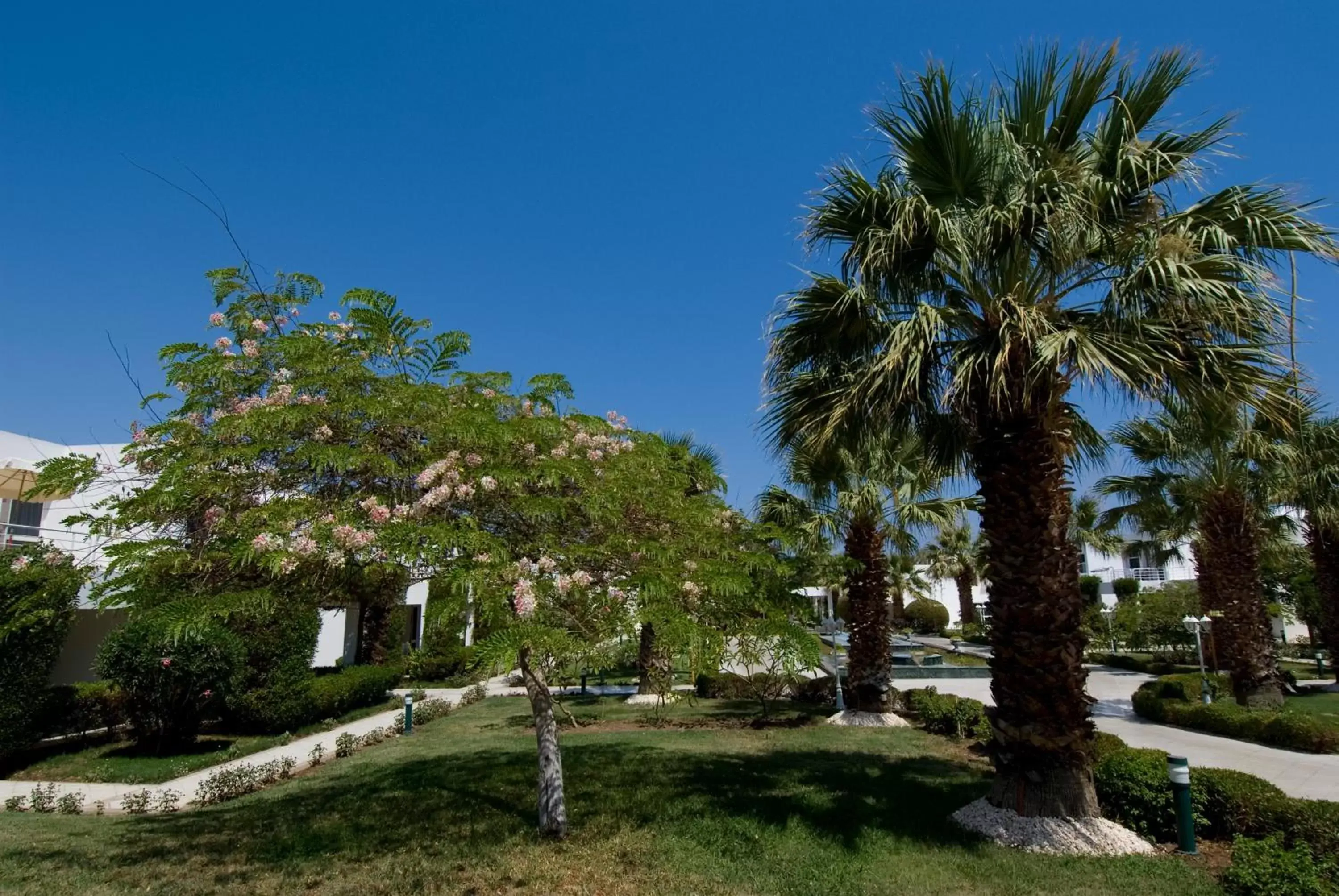 Garden in Maritim Jolie Ville Resort & Casino