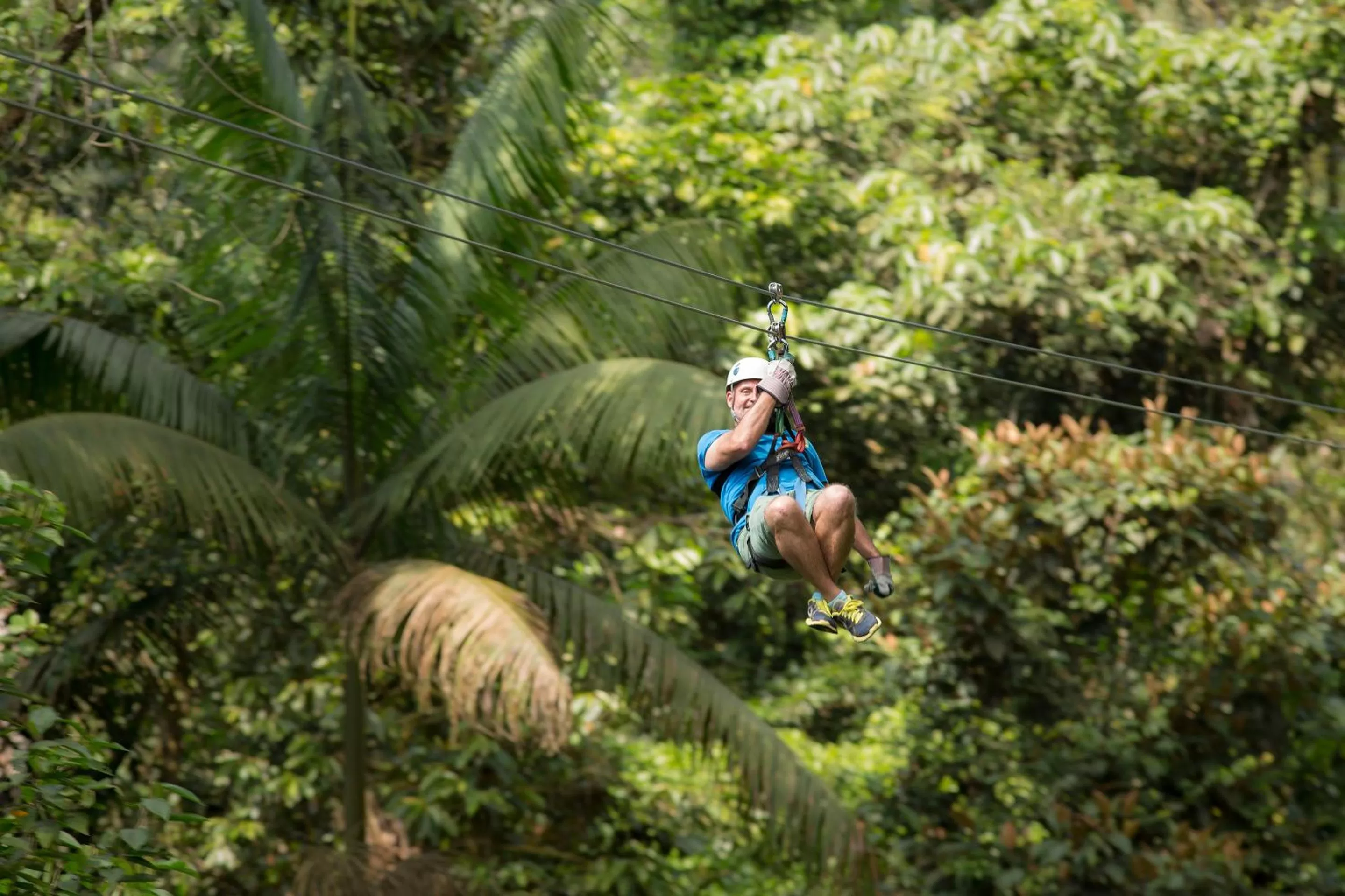 Activities in Finca Rosa Blanca Coffee Farm and Inn