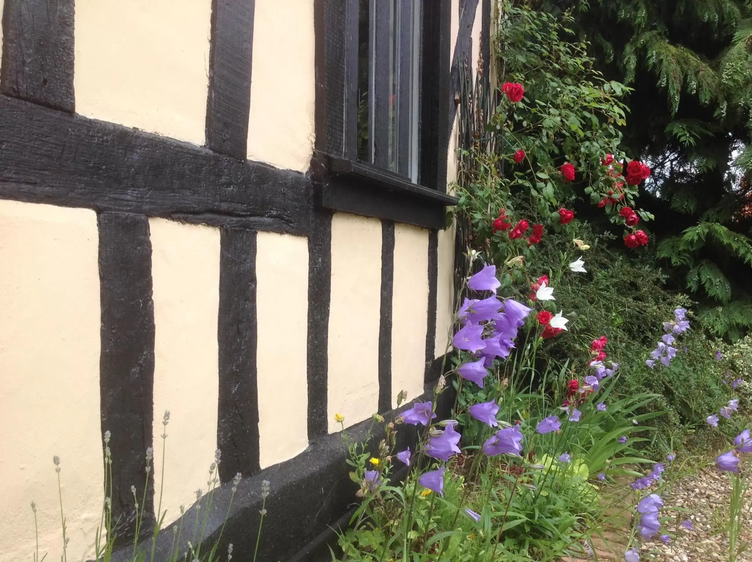 Property building, Patio/Outdoor Area in The Greyhound - Historic former Inn