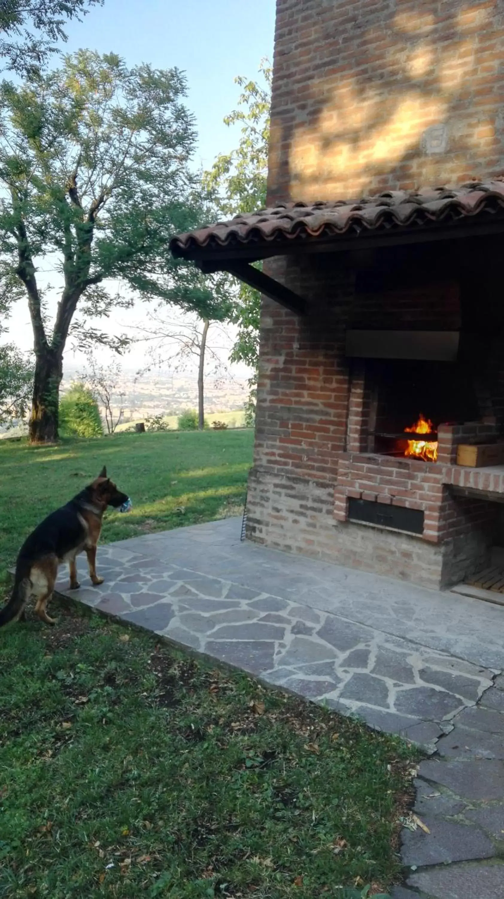 Garden, Pets in Casina Belvedere