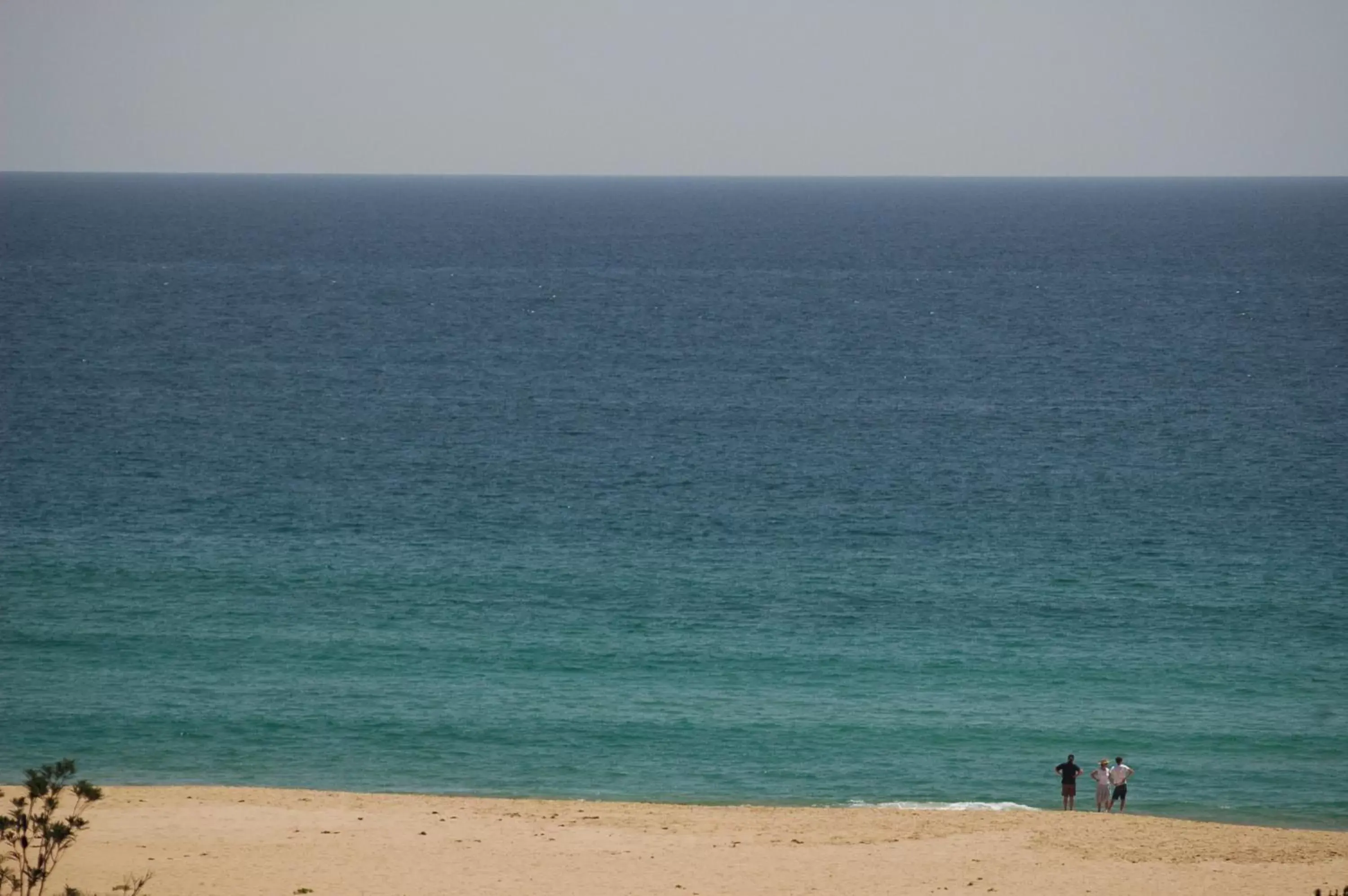 Day, Beach in Tathra Beach House Holiday Apartments