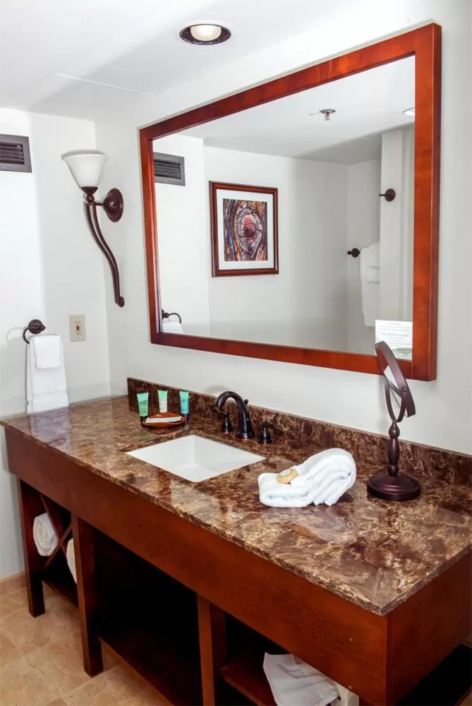 Bathroom in Brasstown Valley Resort & Spa