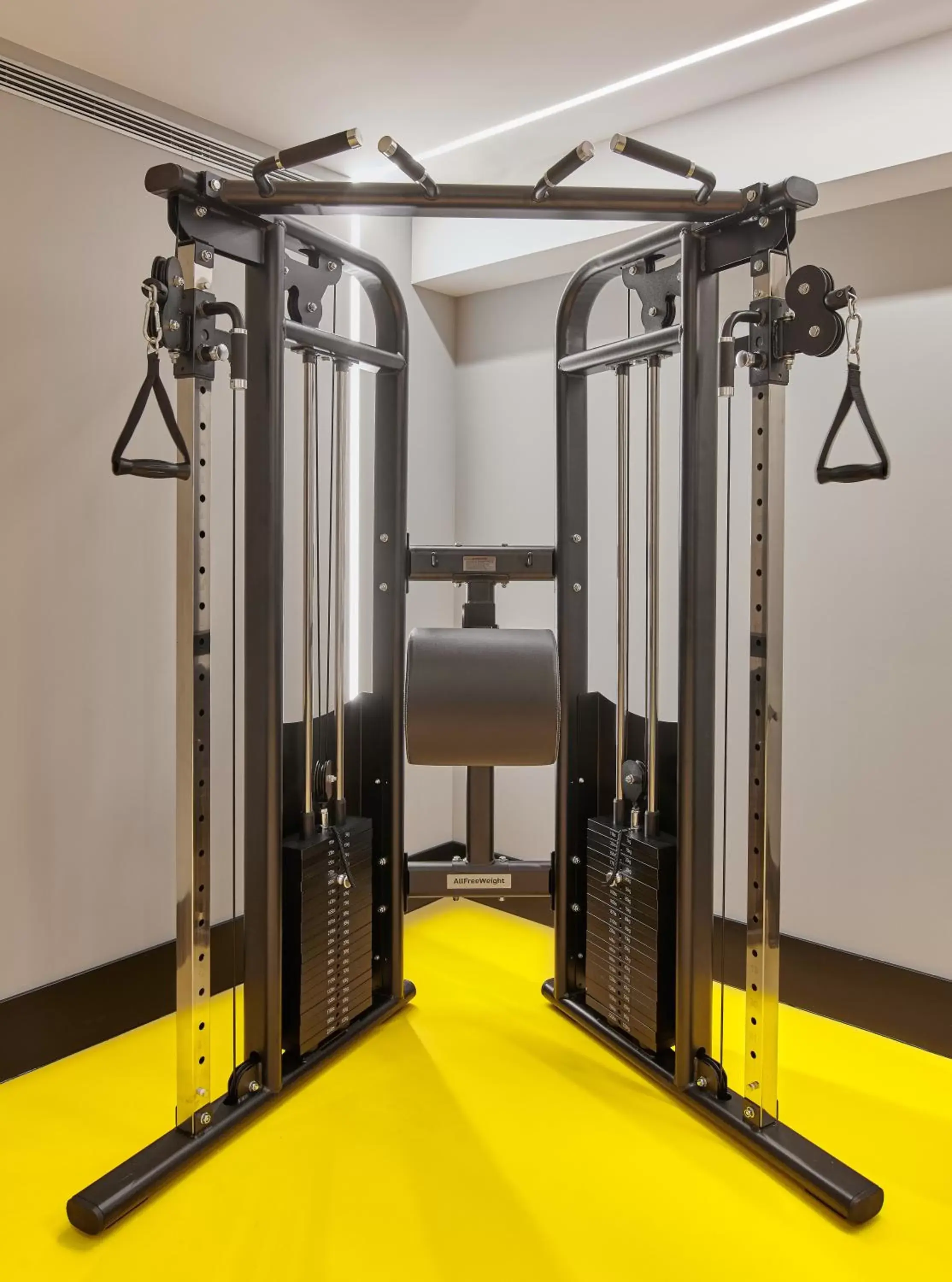 Fitness centre/facilities, Fitness Center/Facilities in Hotel MyPalace León