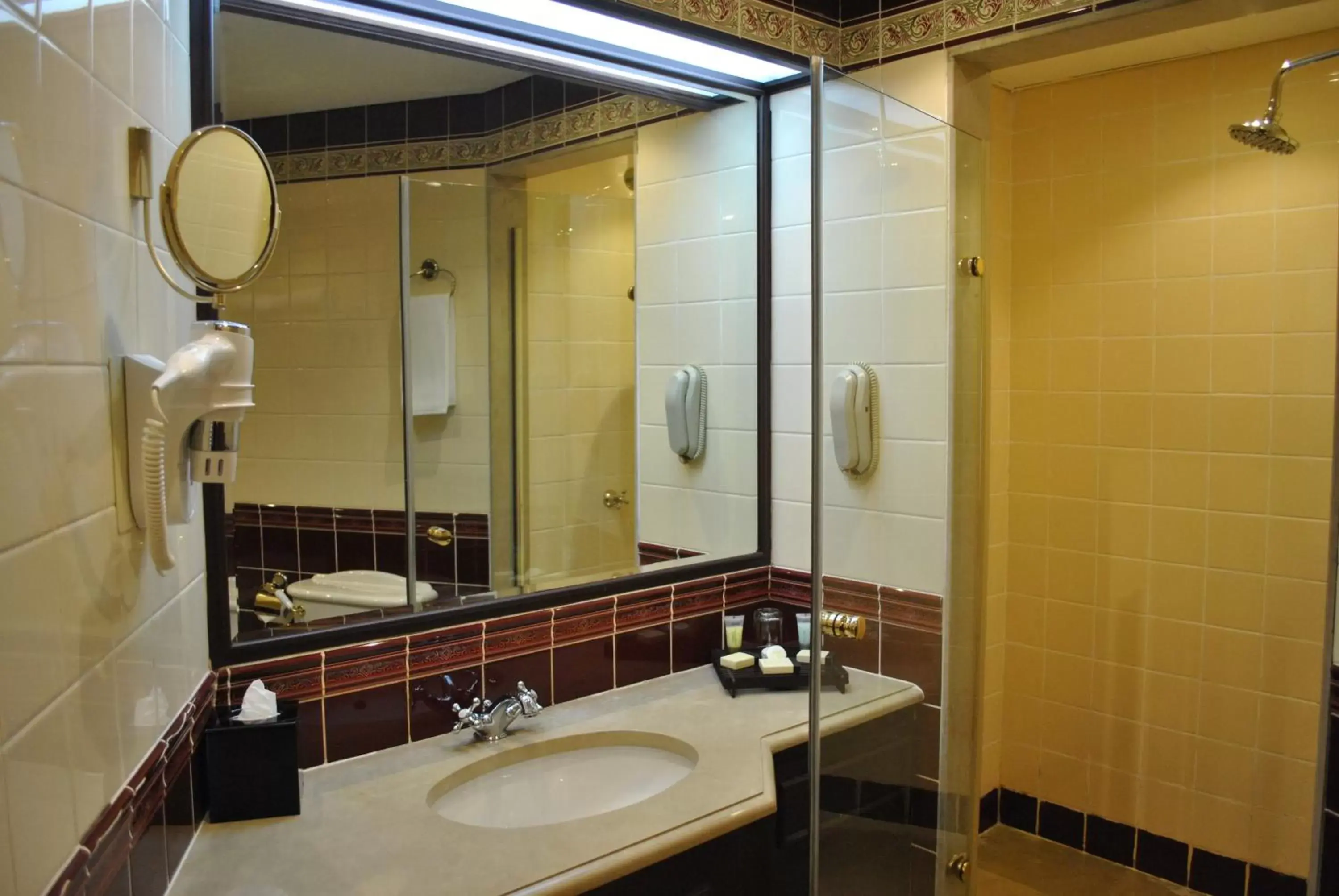 Shower, Bathroom in Chelsea Plaza Hotel