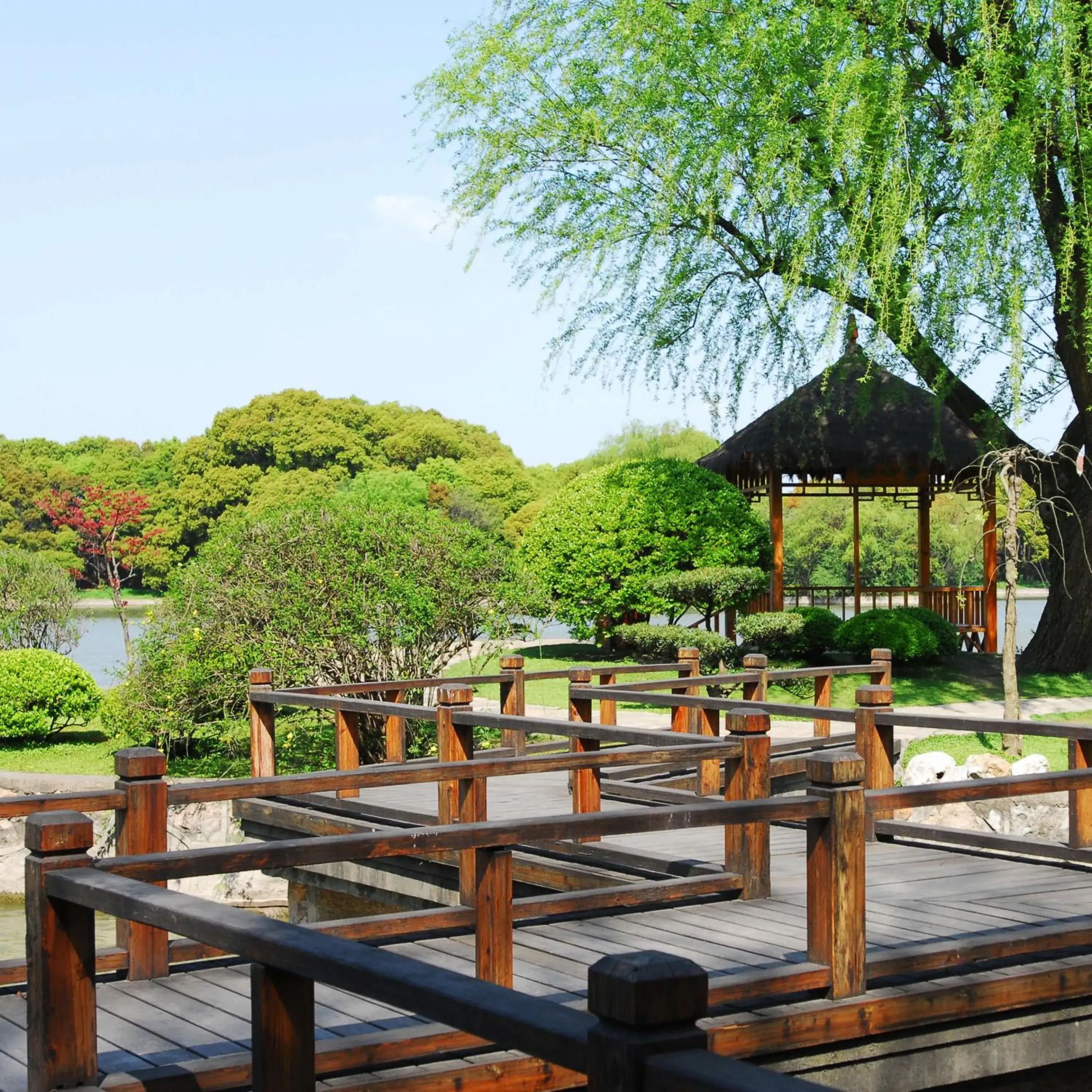 Garden in Xijiao State Guest Hotel