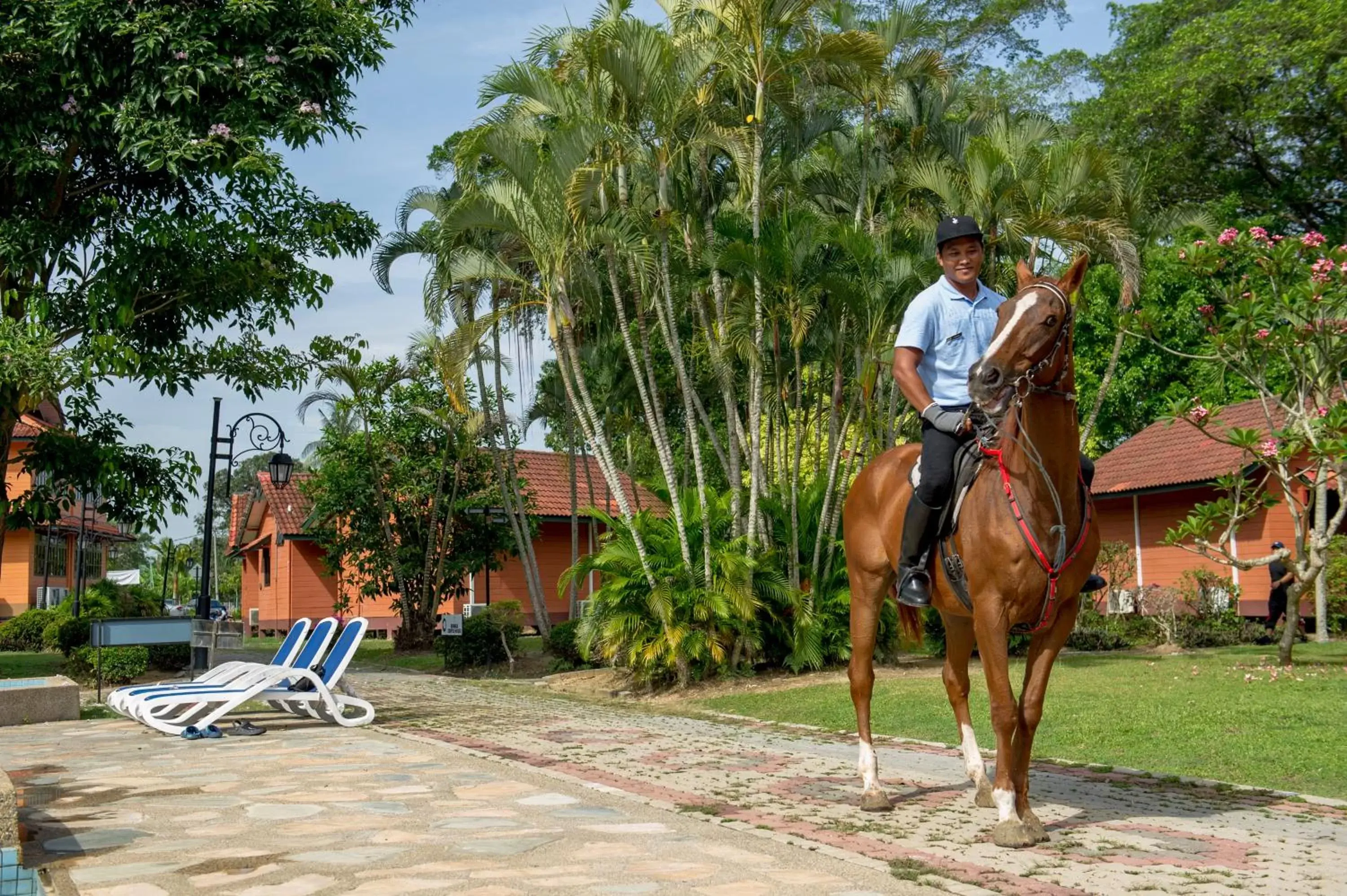 Property building, Horseback Riding in De Palma Resort Kuala Selangor