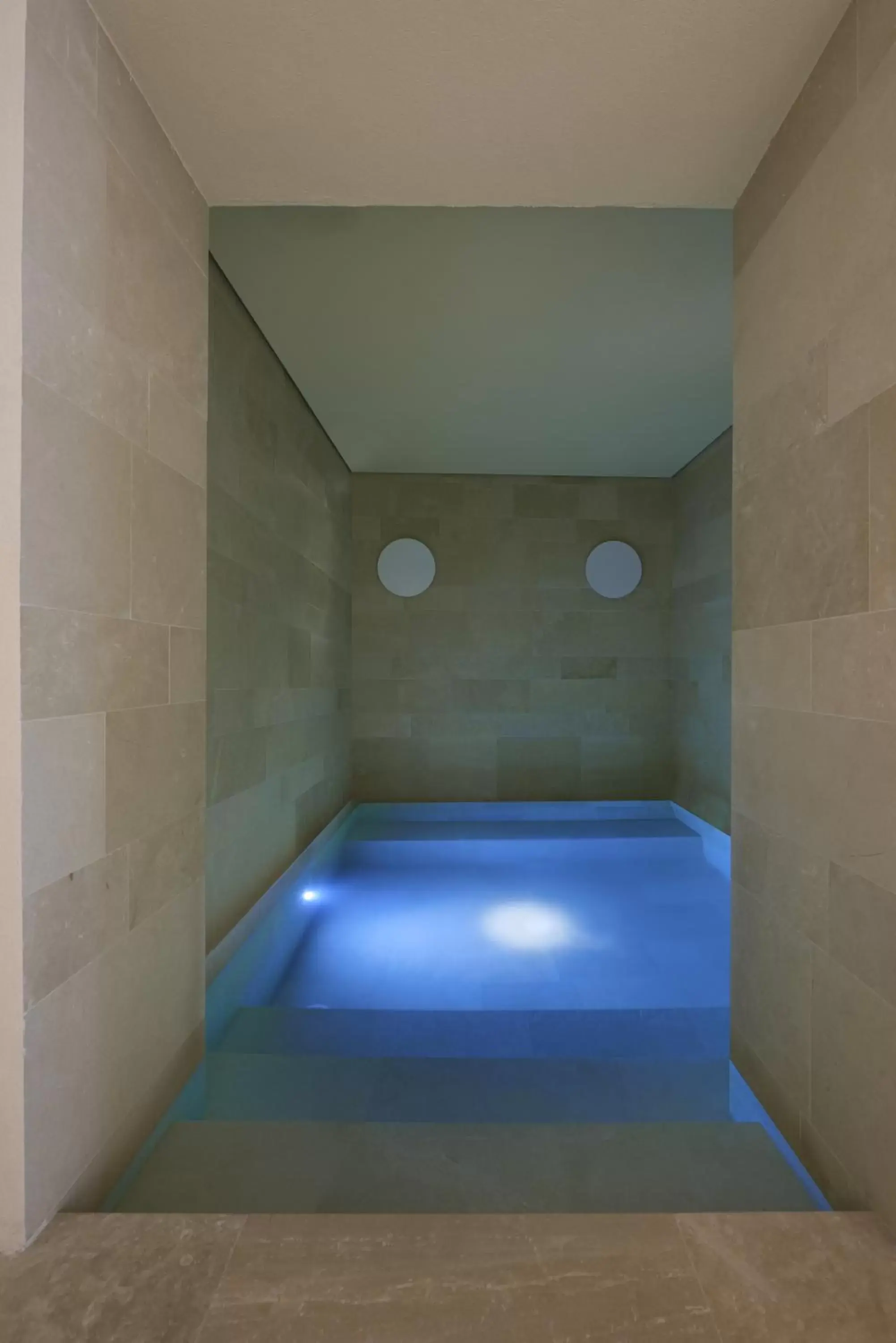 Swimming Pool in Palazzo Gatto Art Hotel & SPA - BW Premier Collection