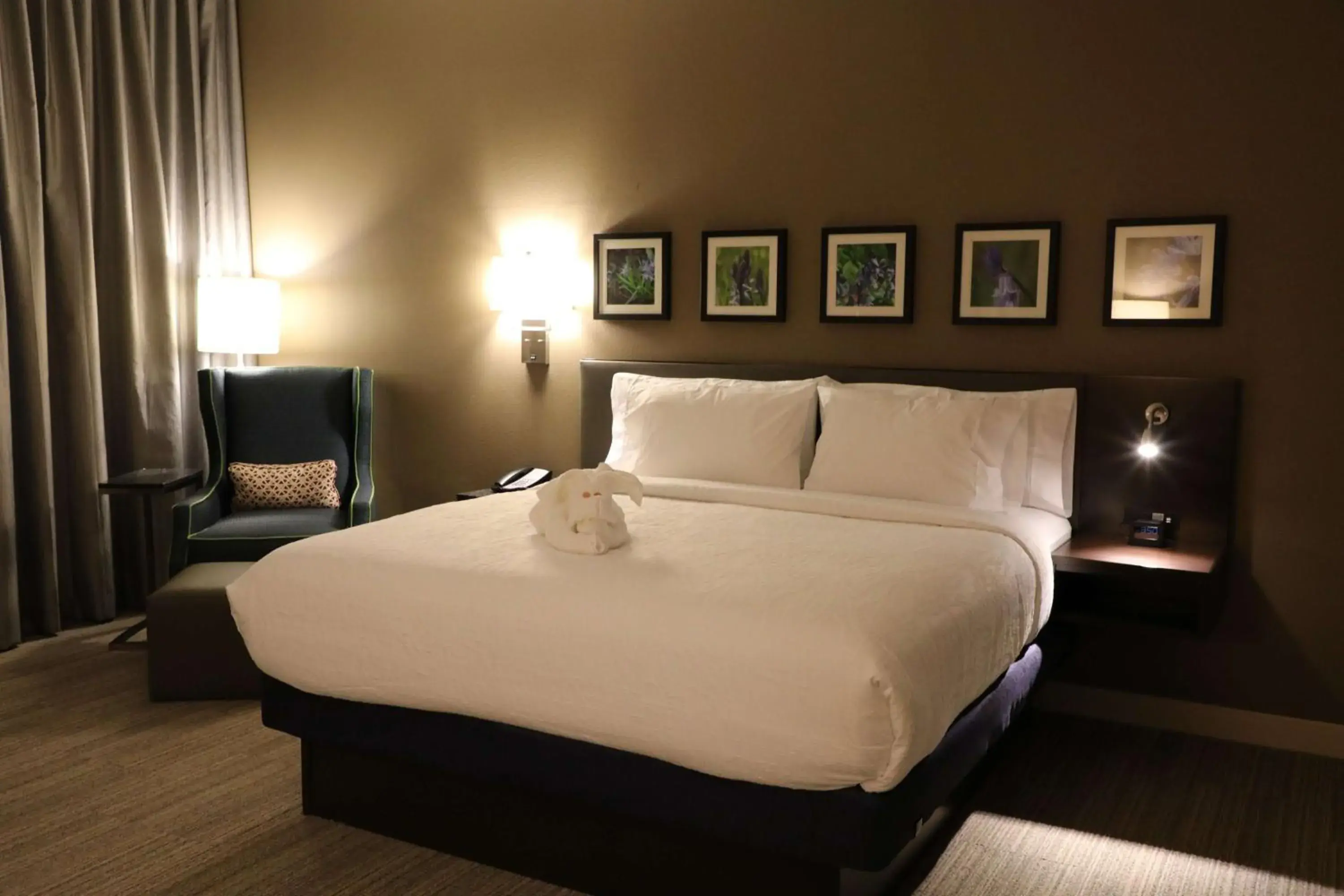 Living room, Bed in Hilton Garden Inn Austin Airport