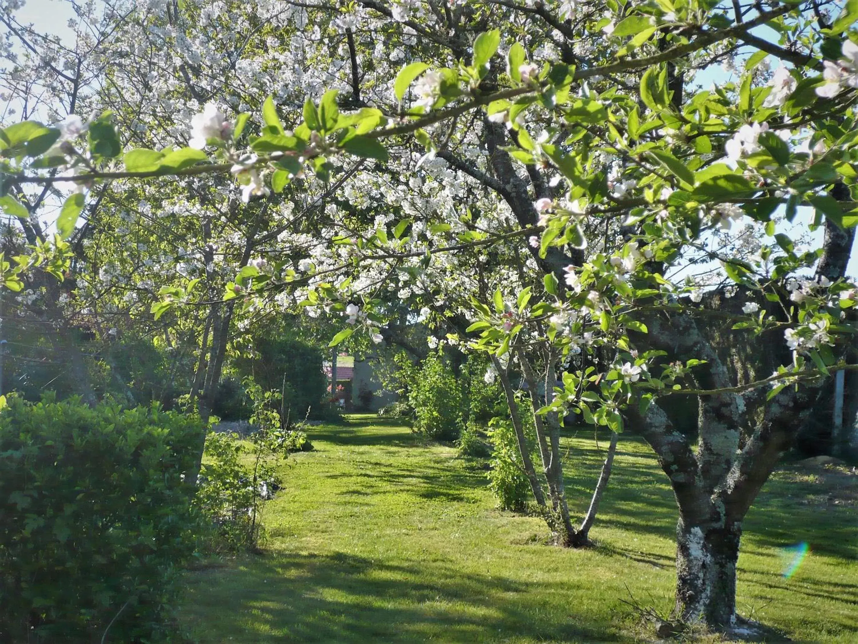 Garden in Chambres D'hôtes Anne-Marie