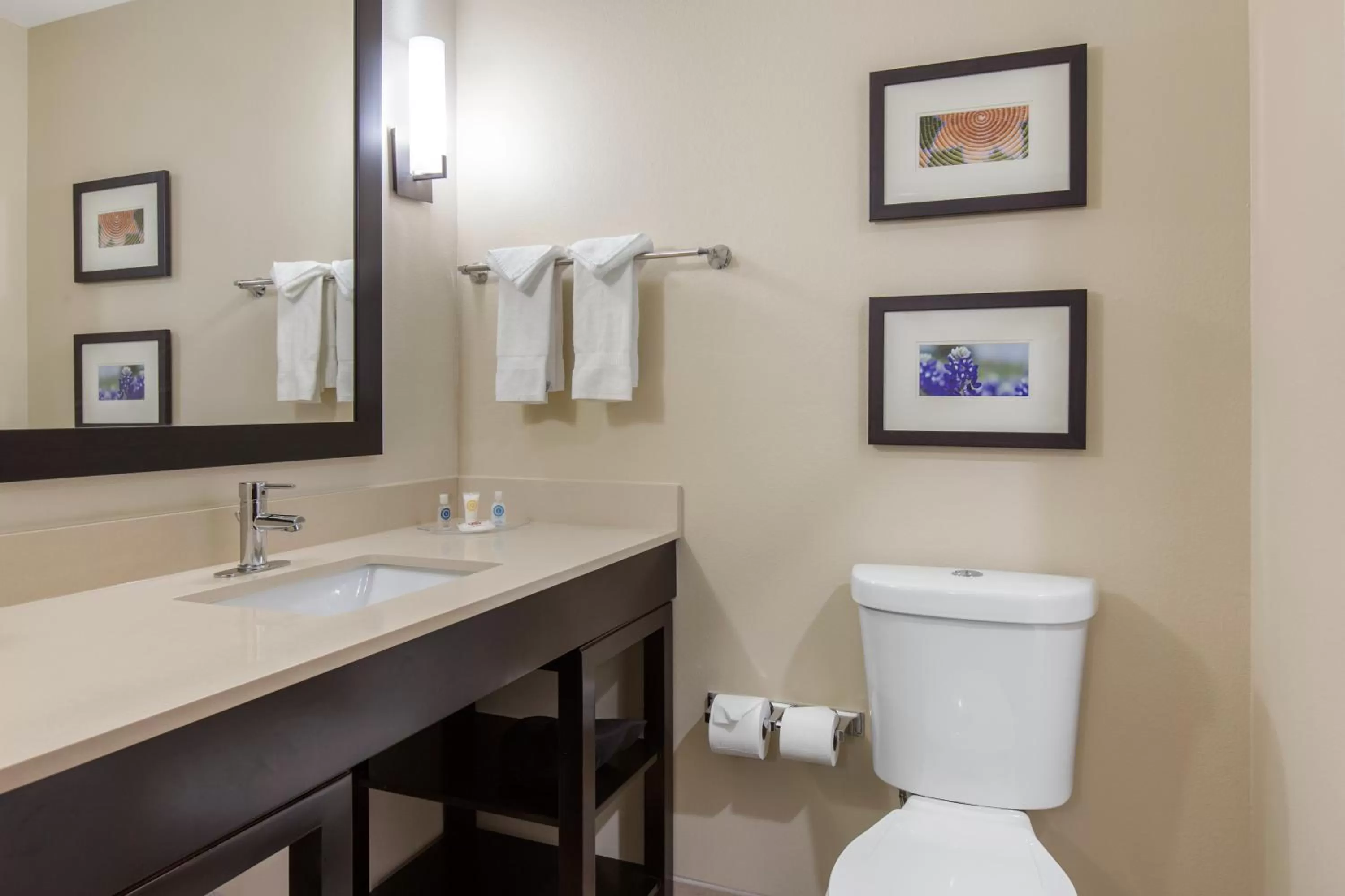 Bathroom in Comfort Suites - South Austin
