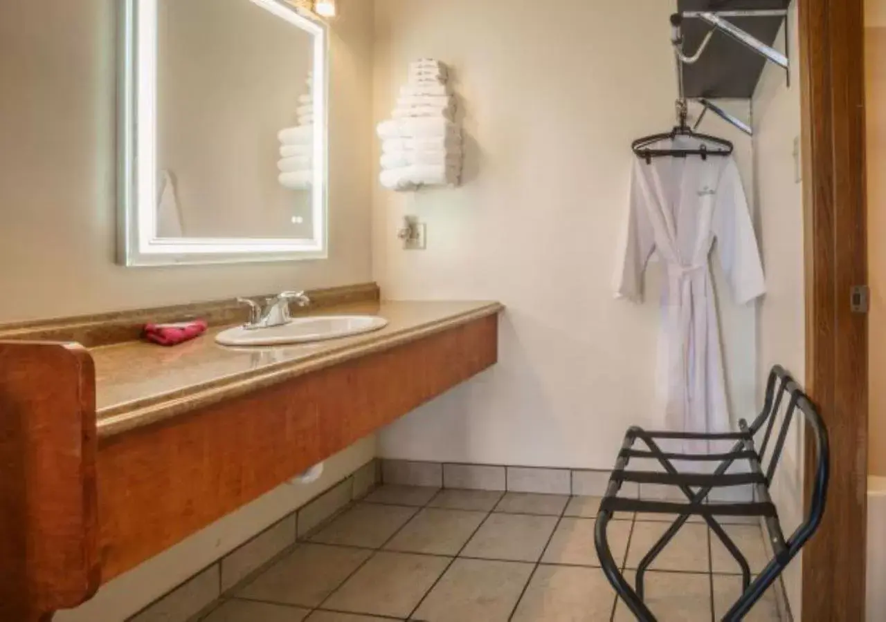 Bathroom in Shady Acre Inn and Suites