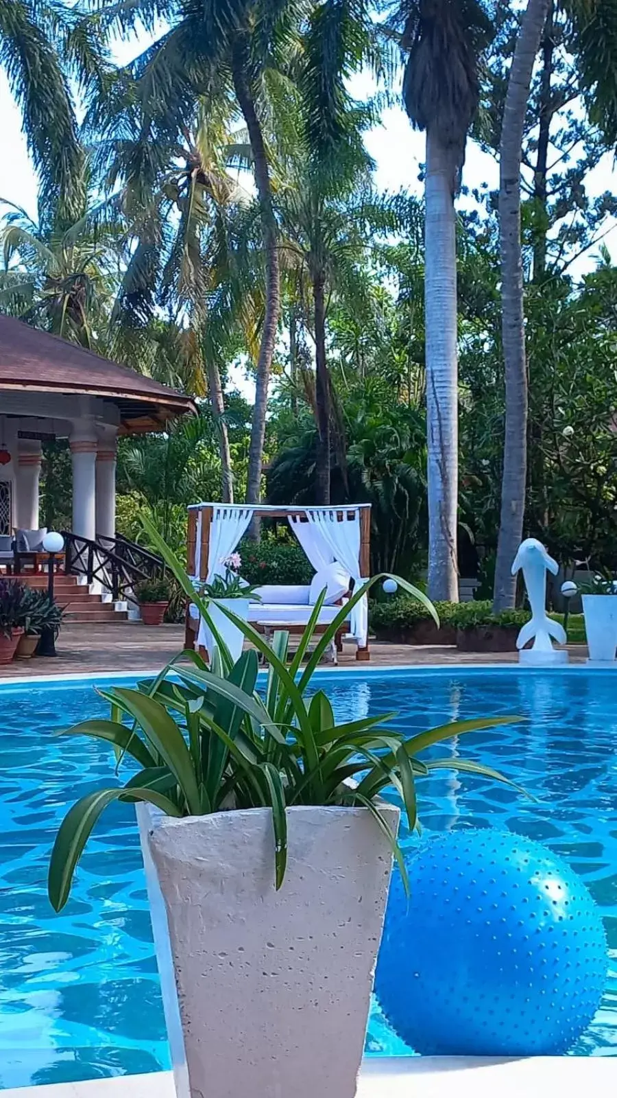 Swimming Pool in African House Resort