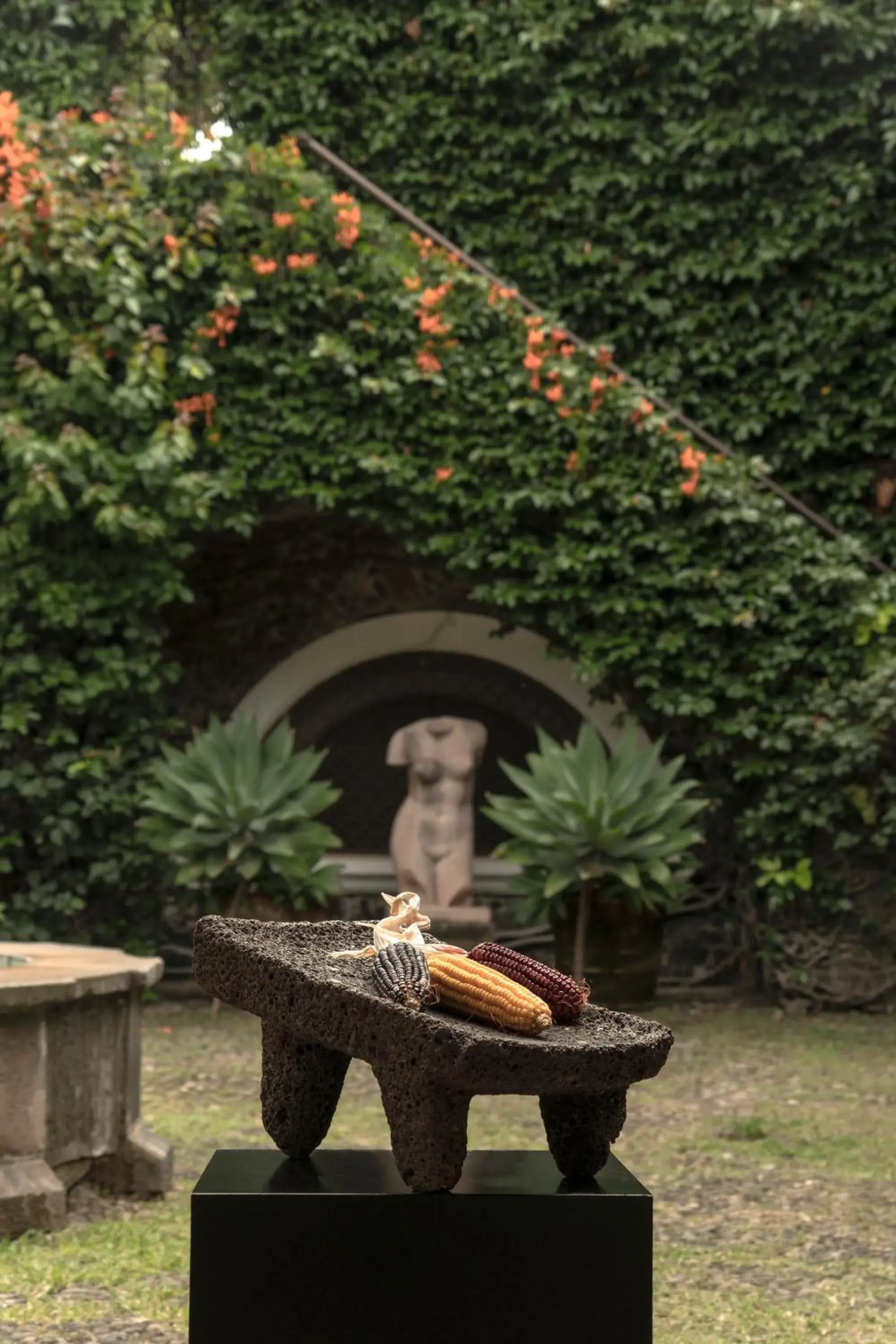 Garden in Posada del Tepozteco