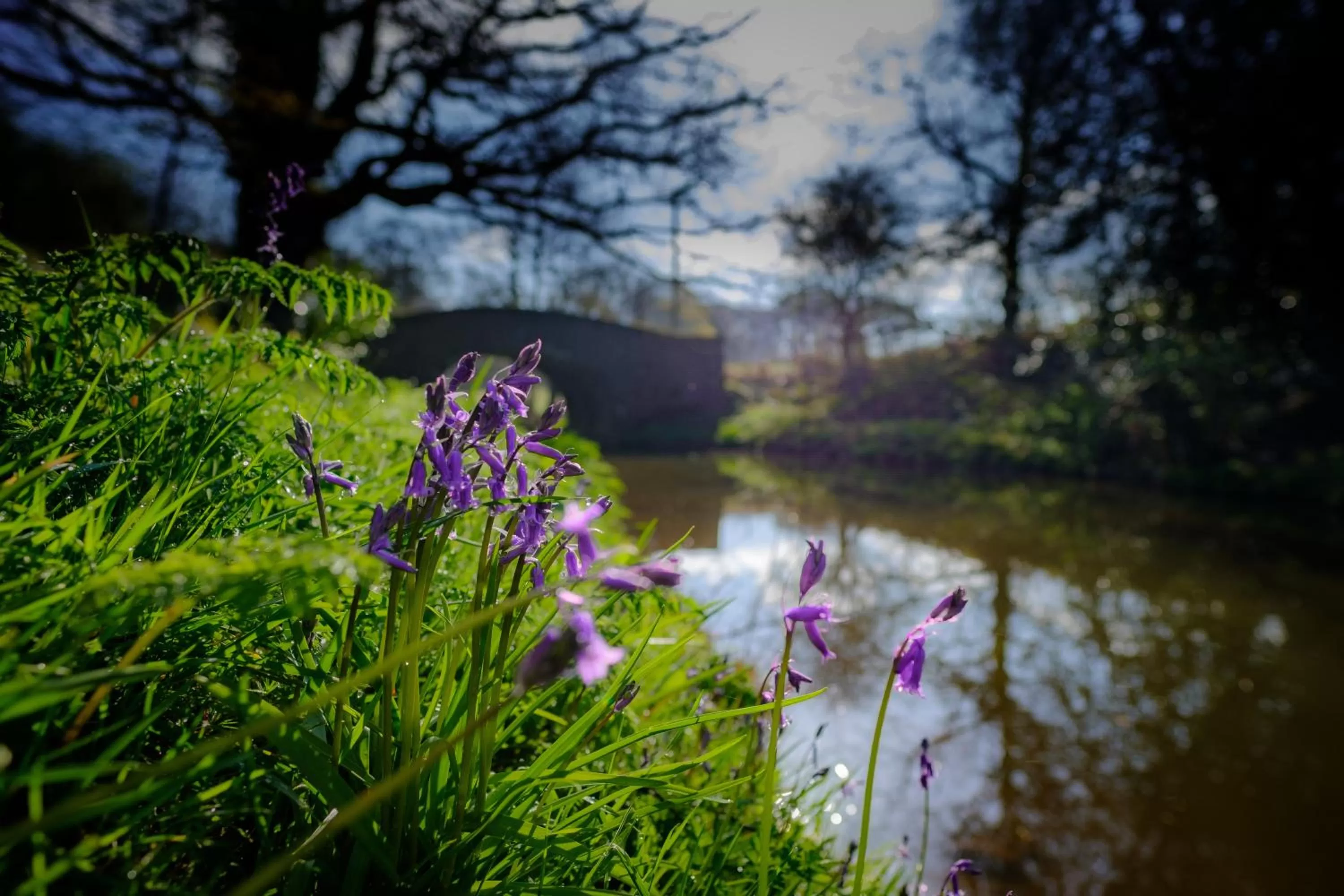 Canoeing in Mill Lodge-Brecon Beacons