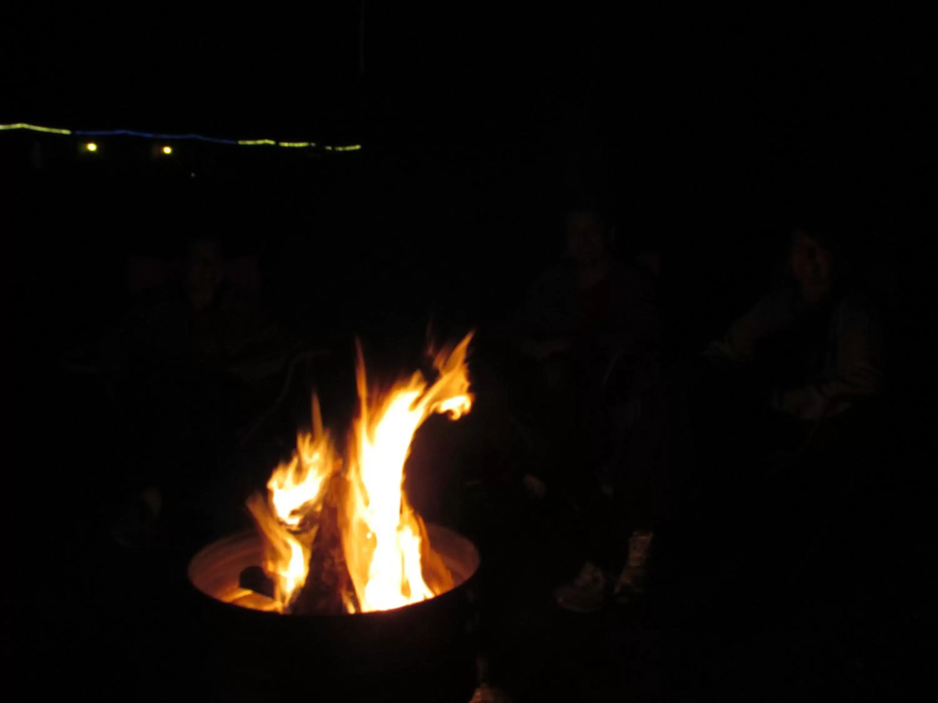 Area and facilities, Evening Entertainment in Best Bear Lodge