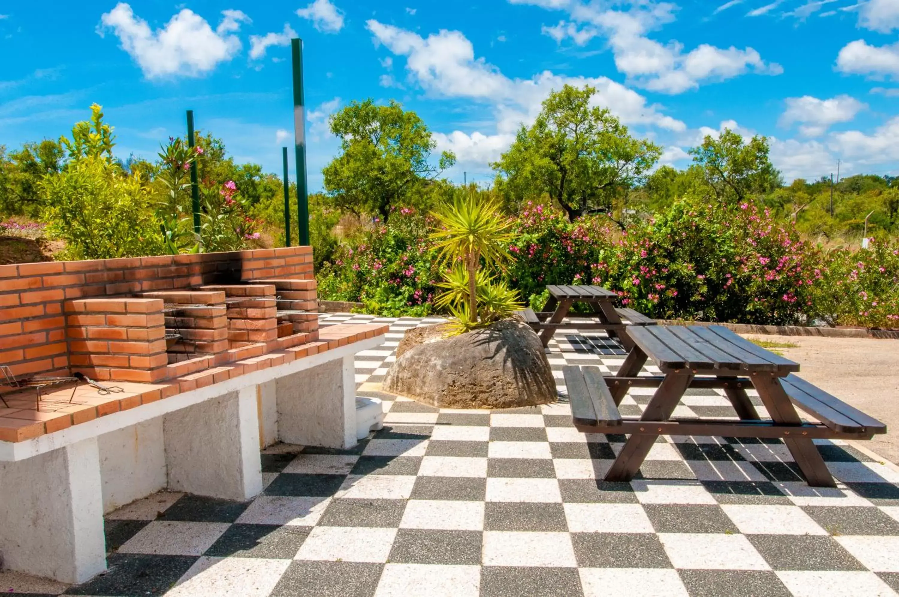 BBQ facilities in Estudios Salinas - Fuseta