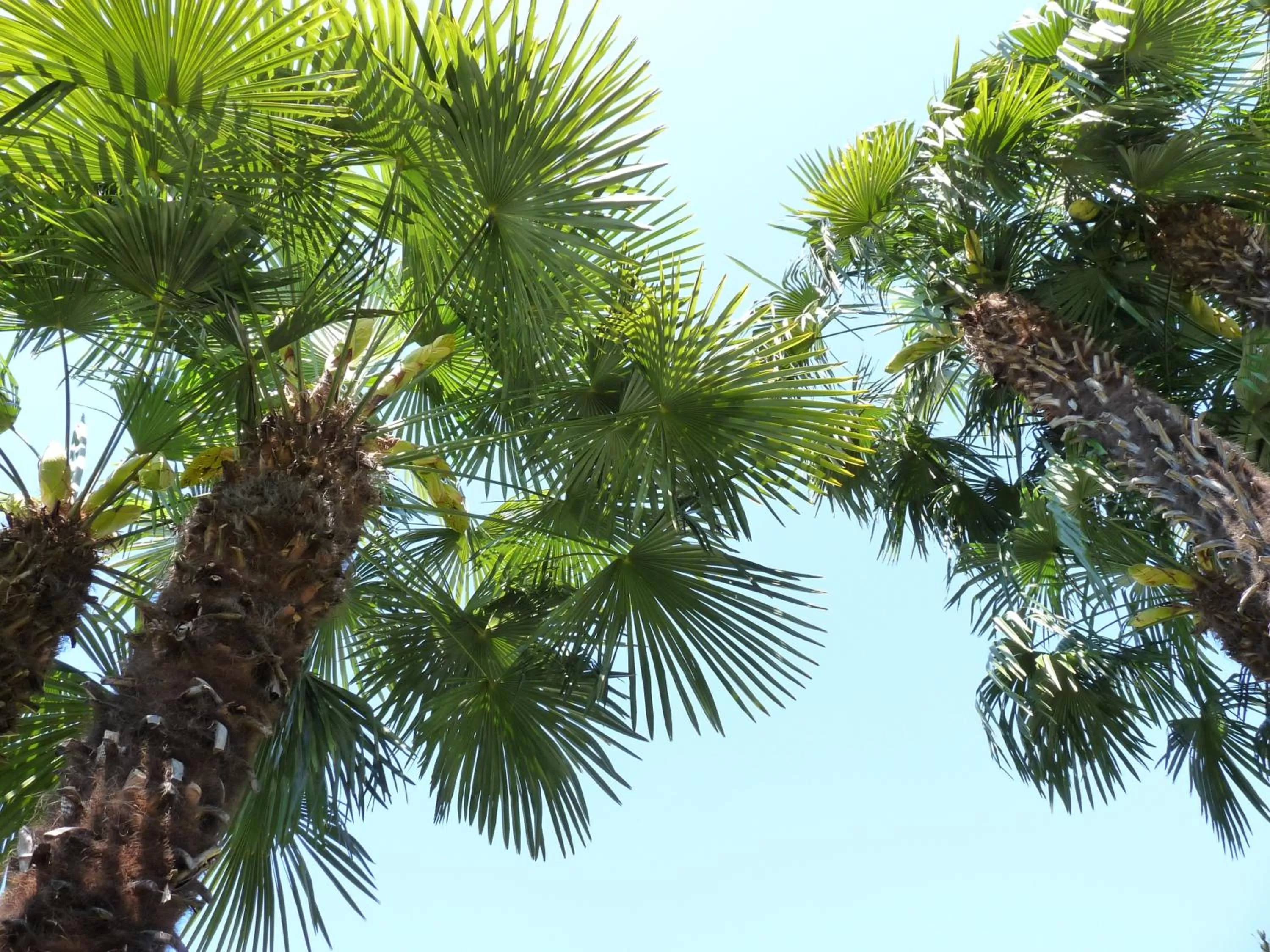 Day in Osteria Ticino by Ketty & Tommy