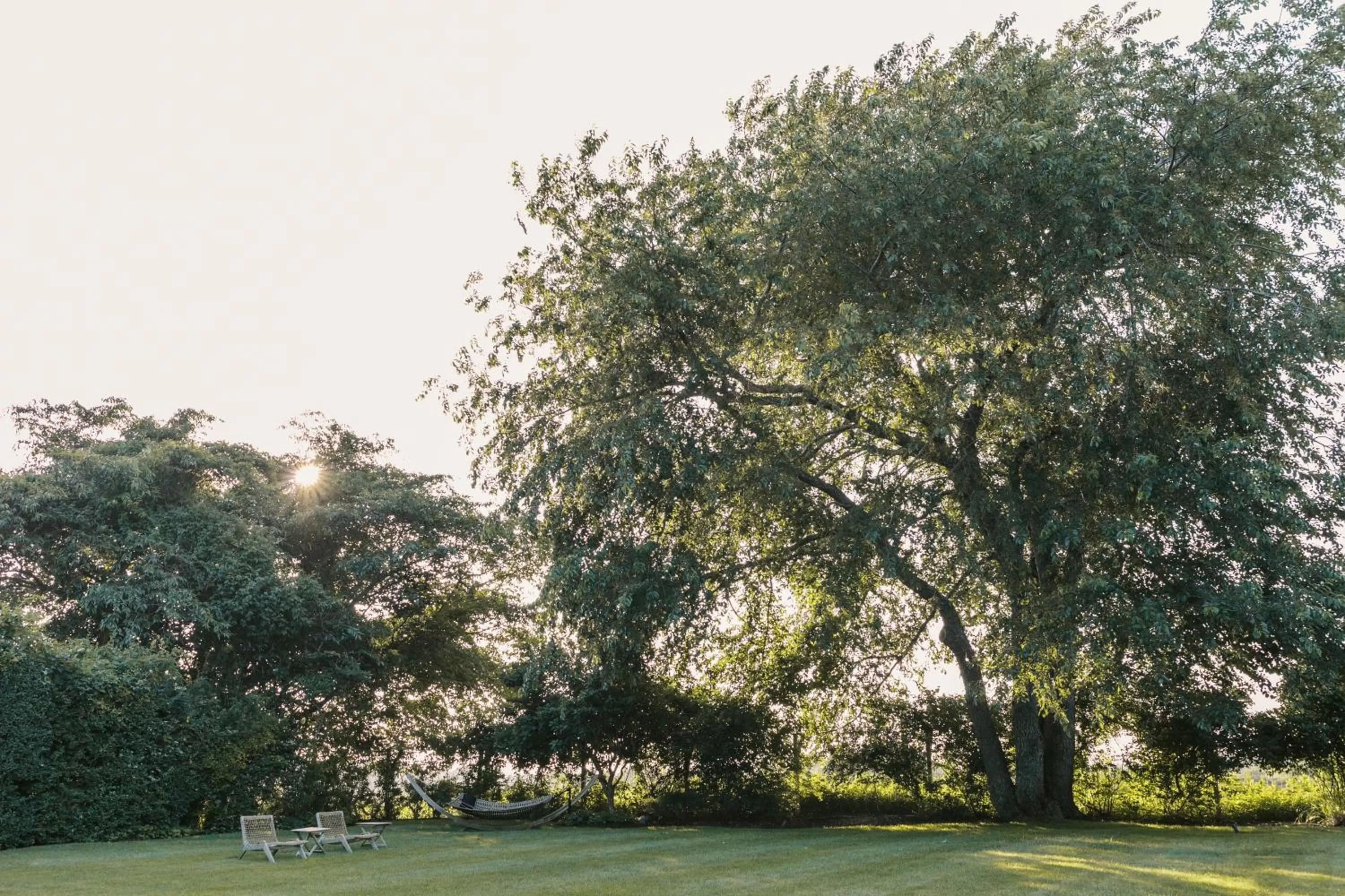 Garden view in The Roundtree, Amagansett
